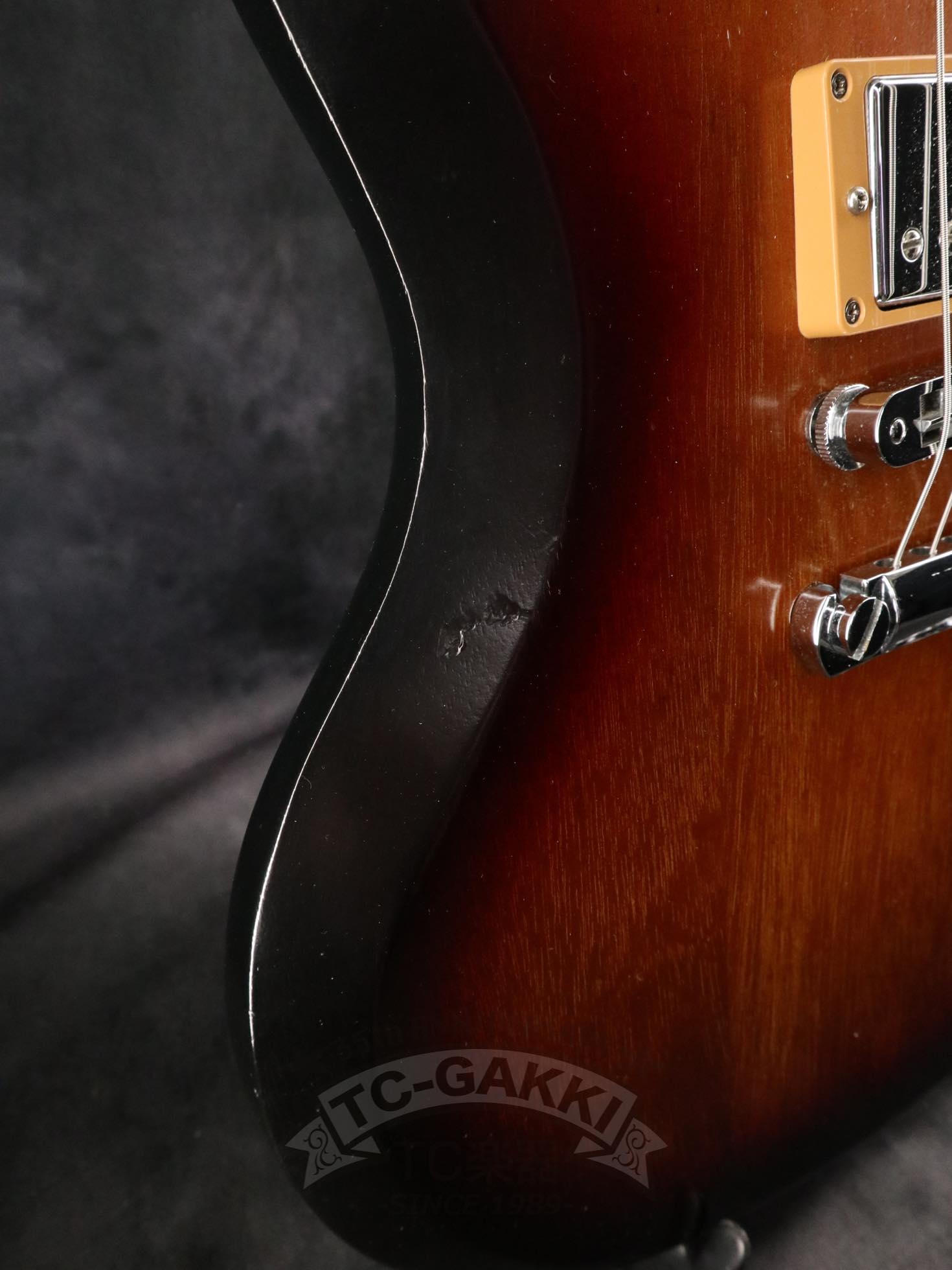 SG Special 2014 - TC楽器 - TCGAKKI