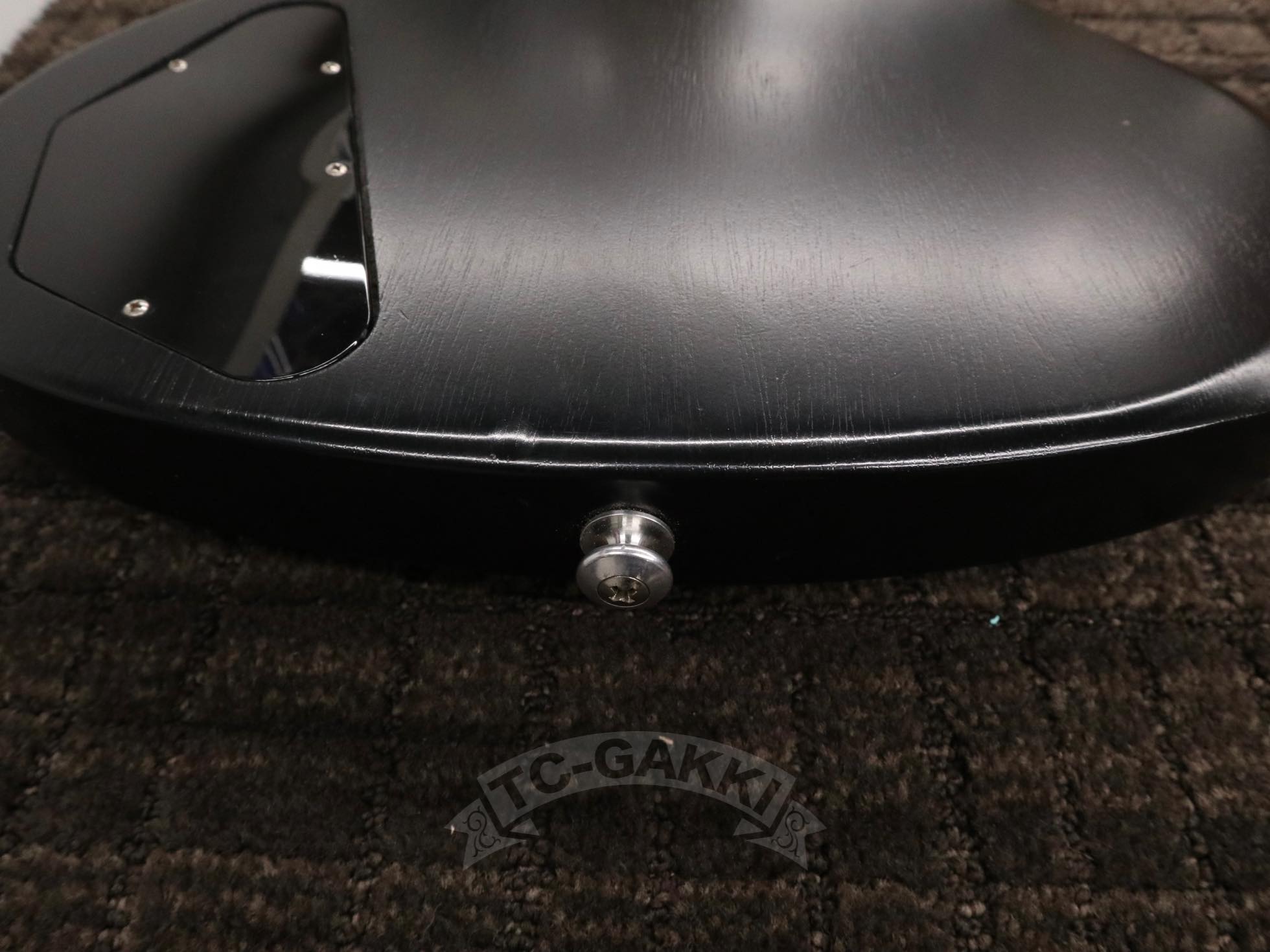 SG Special 2014 - TC楽器 - TCGAKKI