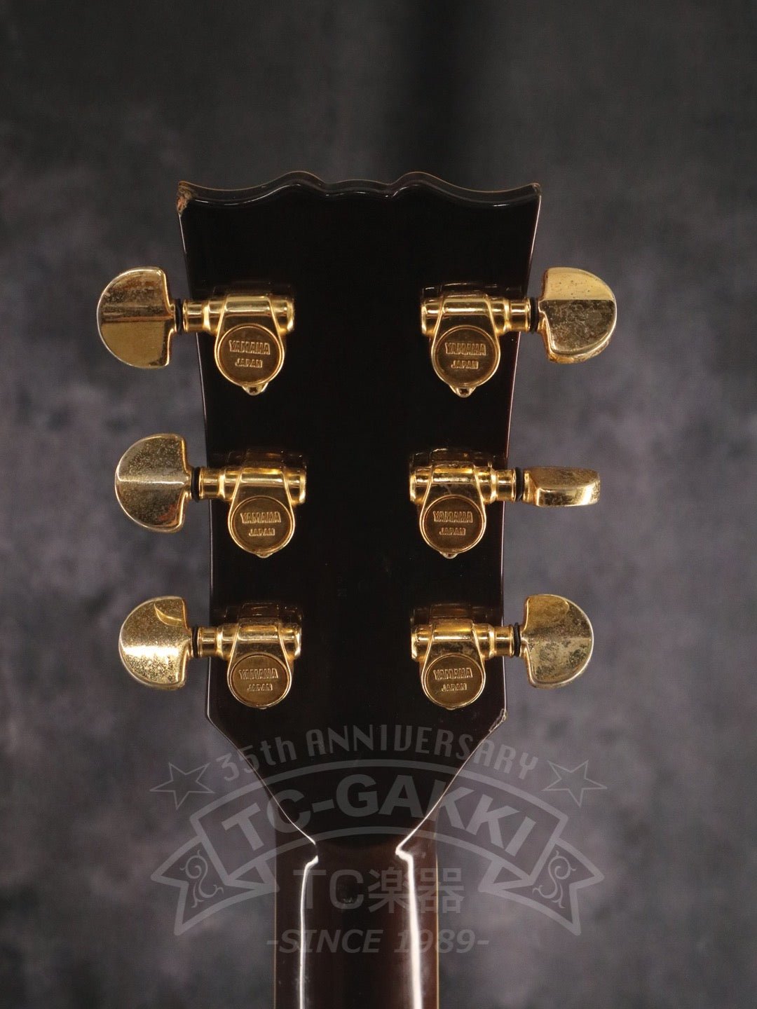 SG1000 - TC楽器 - TCGAKKI