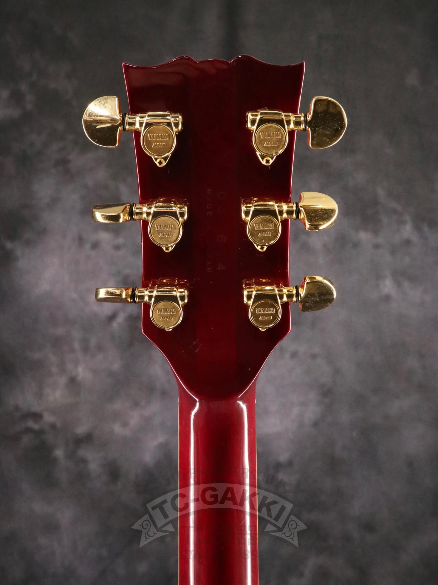 SG1000 - TC楽器 - TCGAKKI