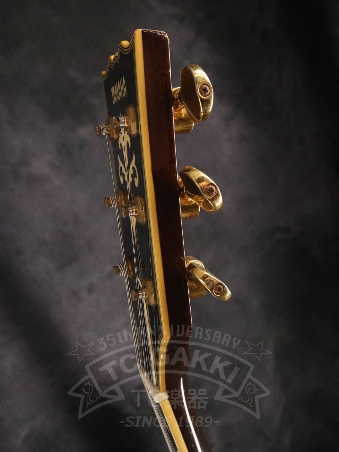 SG1000 - TC楽器 - TCGAKKI