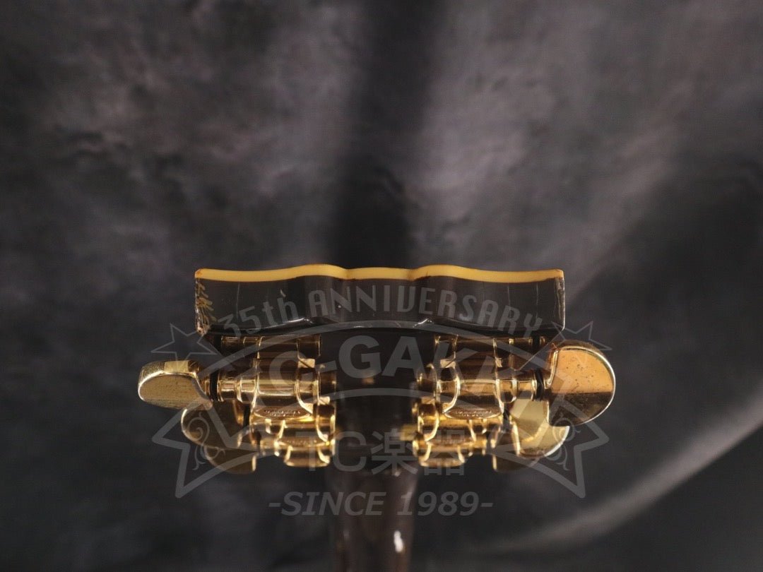 SG1000 - TC楽器 - TCGAKKI