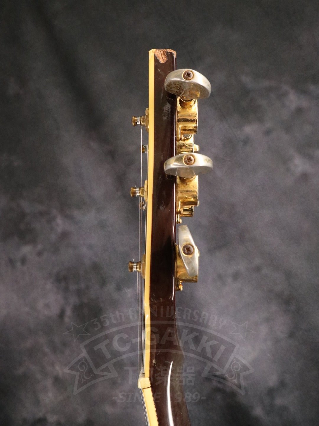 SG2000 - TC楽器 - TCGAKKI