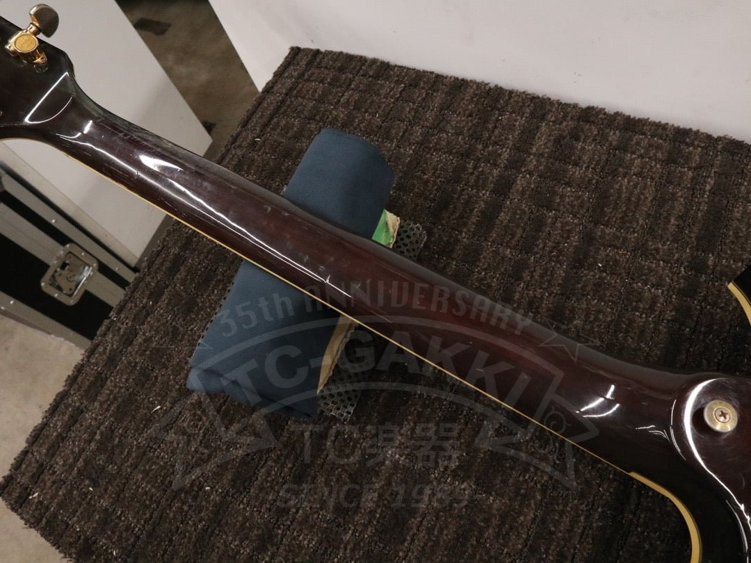 SG2000 - TC楽器 - TCGAKKI