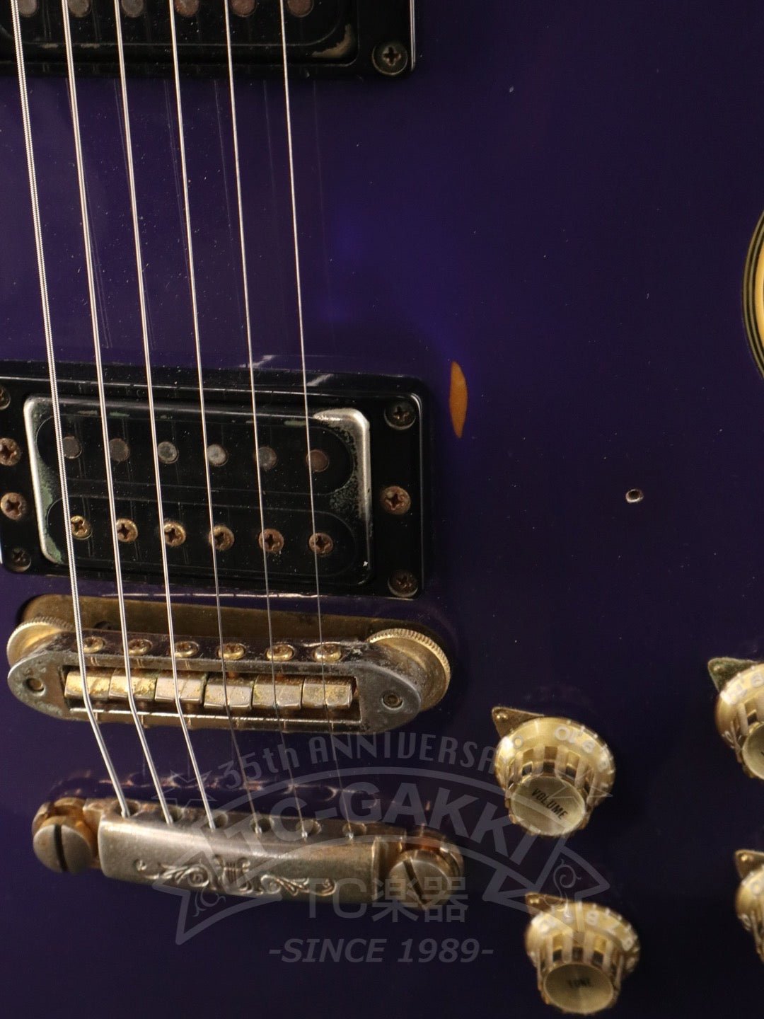 SG2000DP - TC楽器 - TCGAKKI