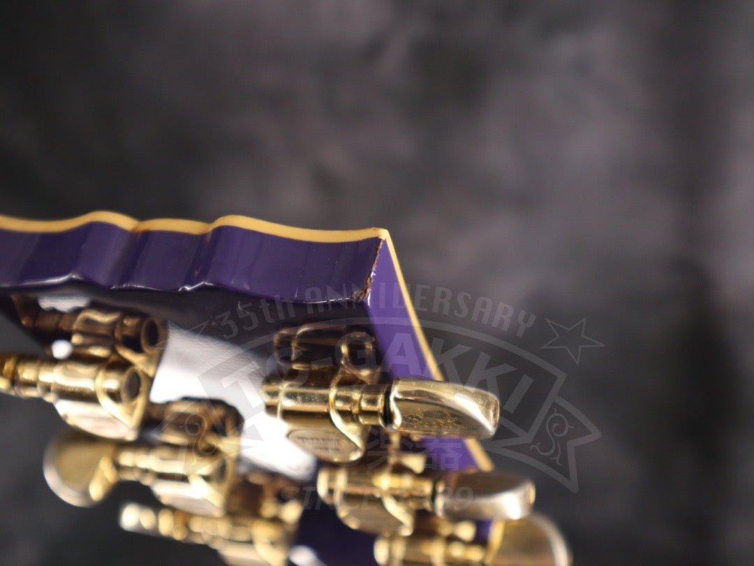 SG2000DP - TC楽器 - TCGAKKI