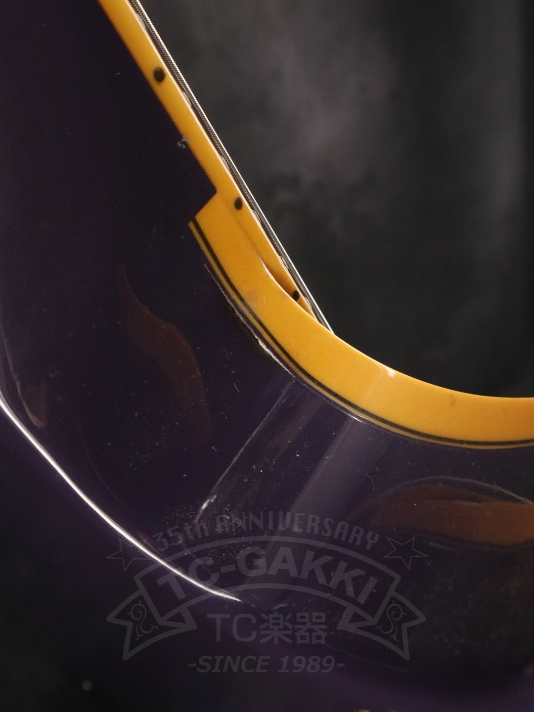 SG2000DP - TC楽器 - TCGAKKI