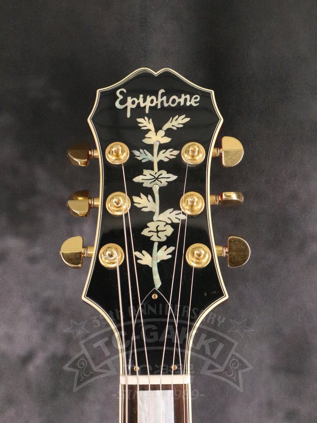 Sheraton - TC楽器 - TCGAKKI