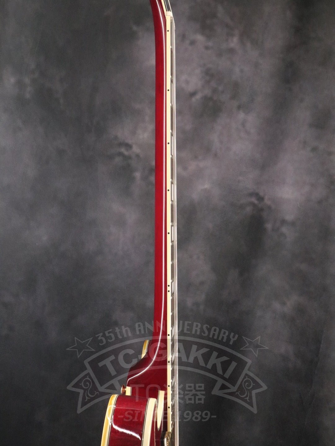 Sheraton - TC楽器 - TCGAKKI