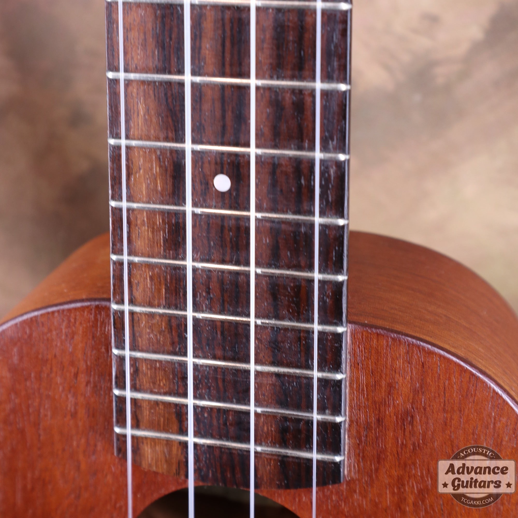 Shimo Guitars 2016年製 Soprano Ukulele - TC楽器 - TCGAKKI