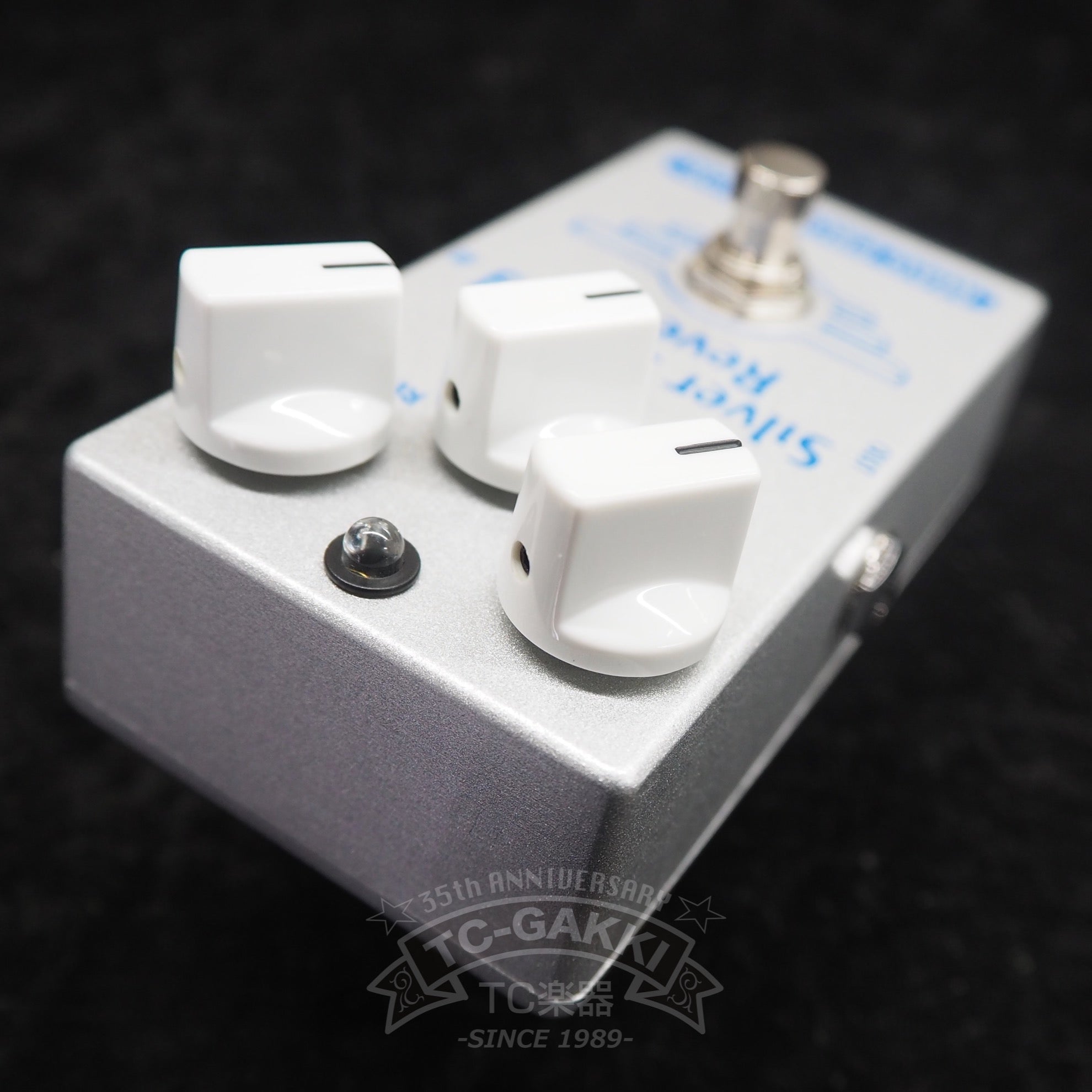 Silver Spring Reverb - TC楽器 - TCGAKKI