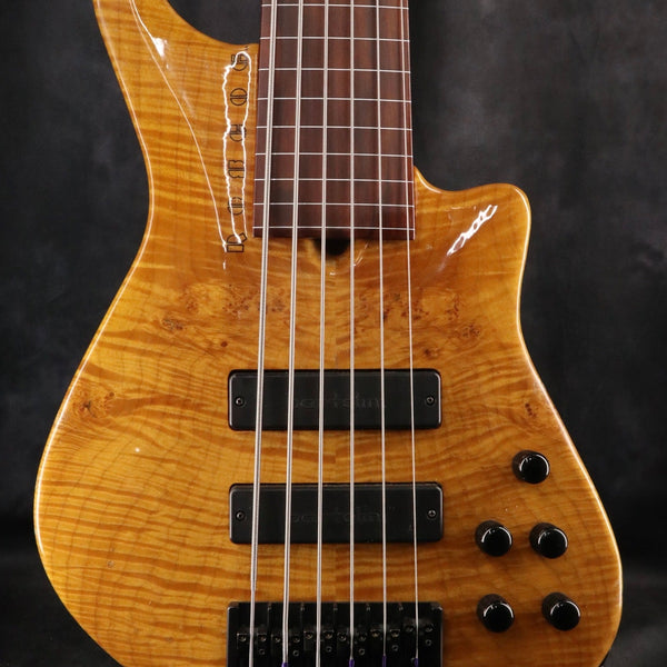 超レア楽器　フレットレス琵琶ギター 超レア楽器フレットレス琵琶ギター