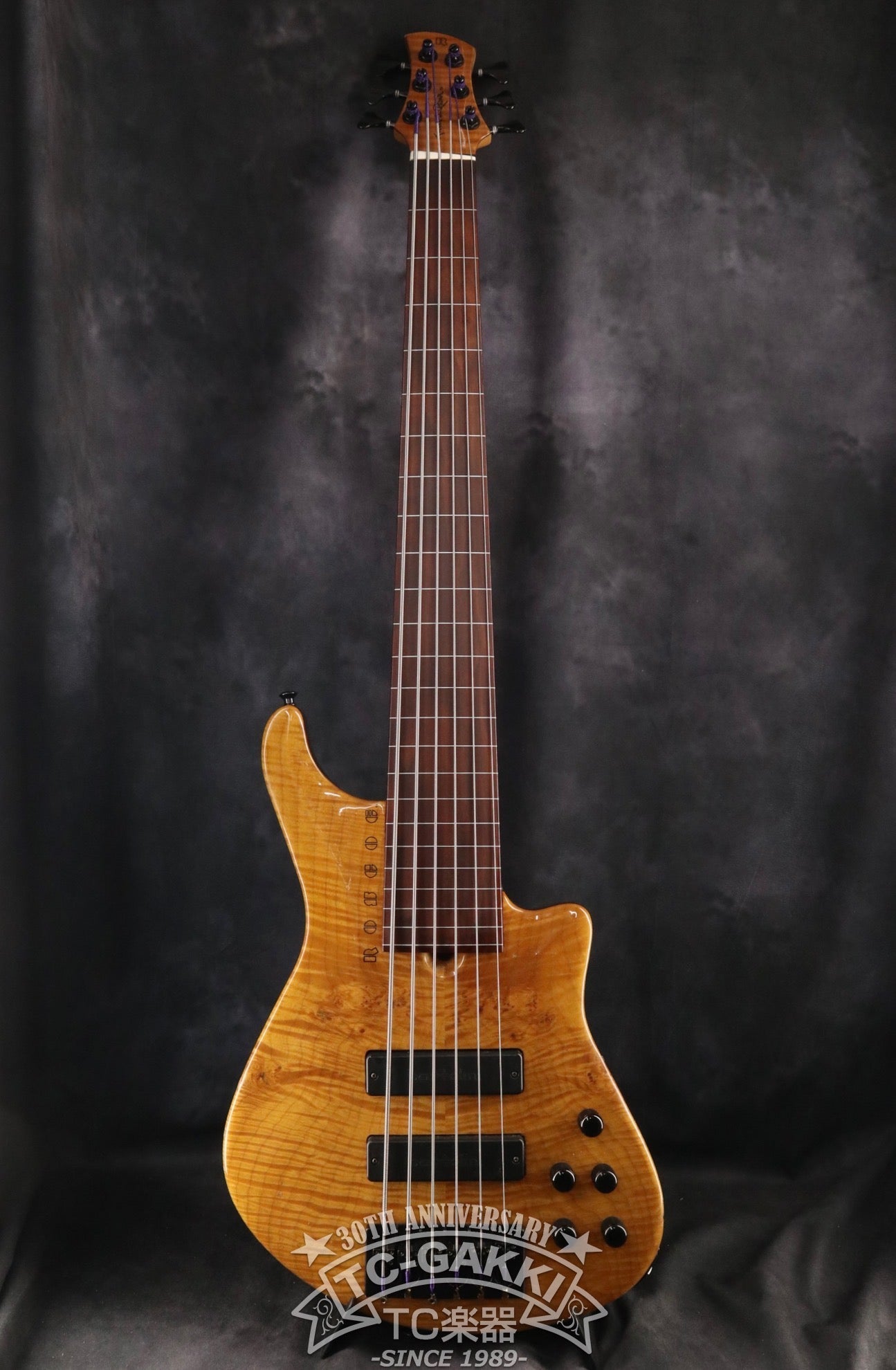 超レア楽器　フレットレス琵琶ギター フレットレス