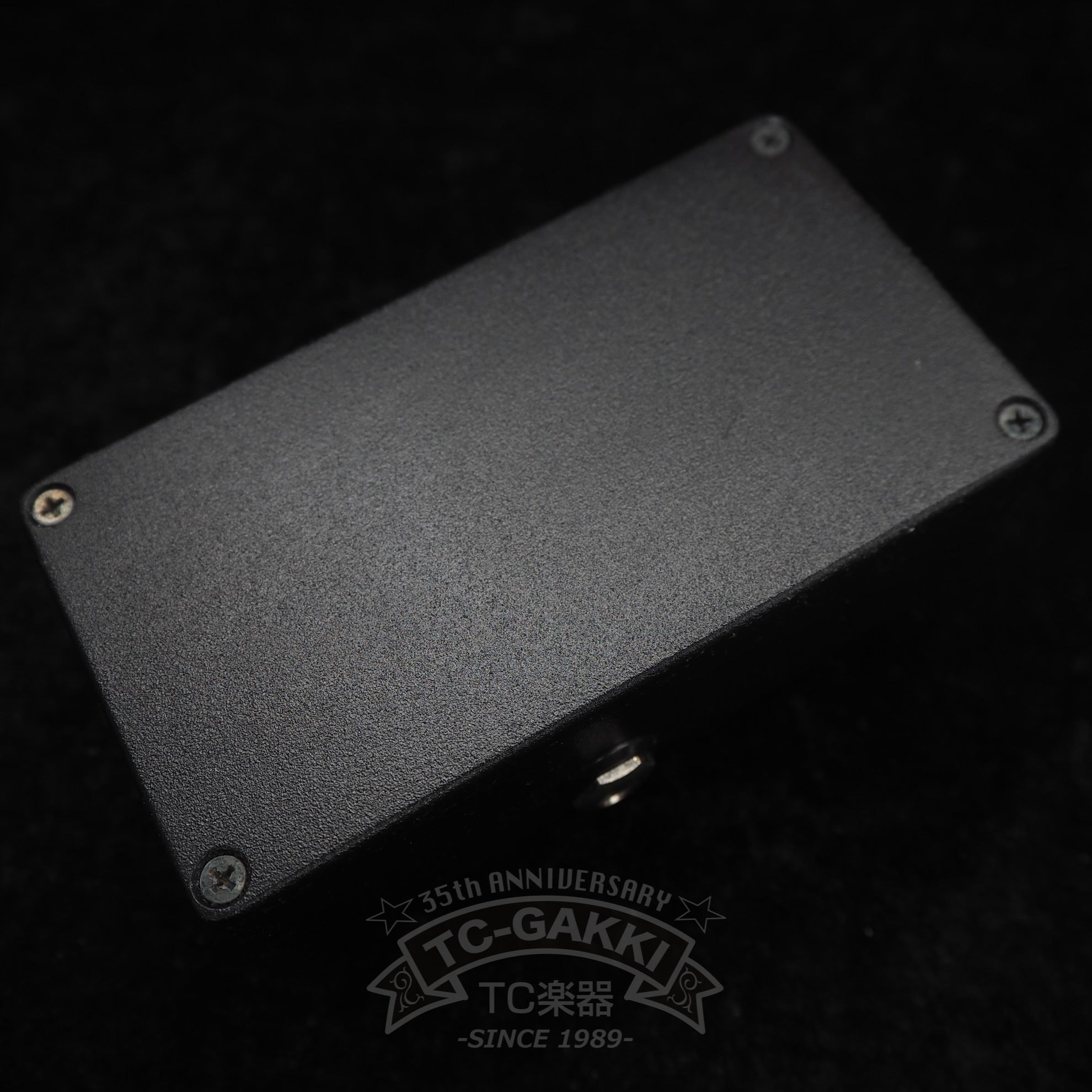 SOLODALLAS The Schaffer Replica Storm - TC楽器 - TCGAKKI