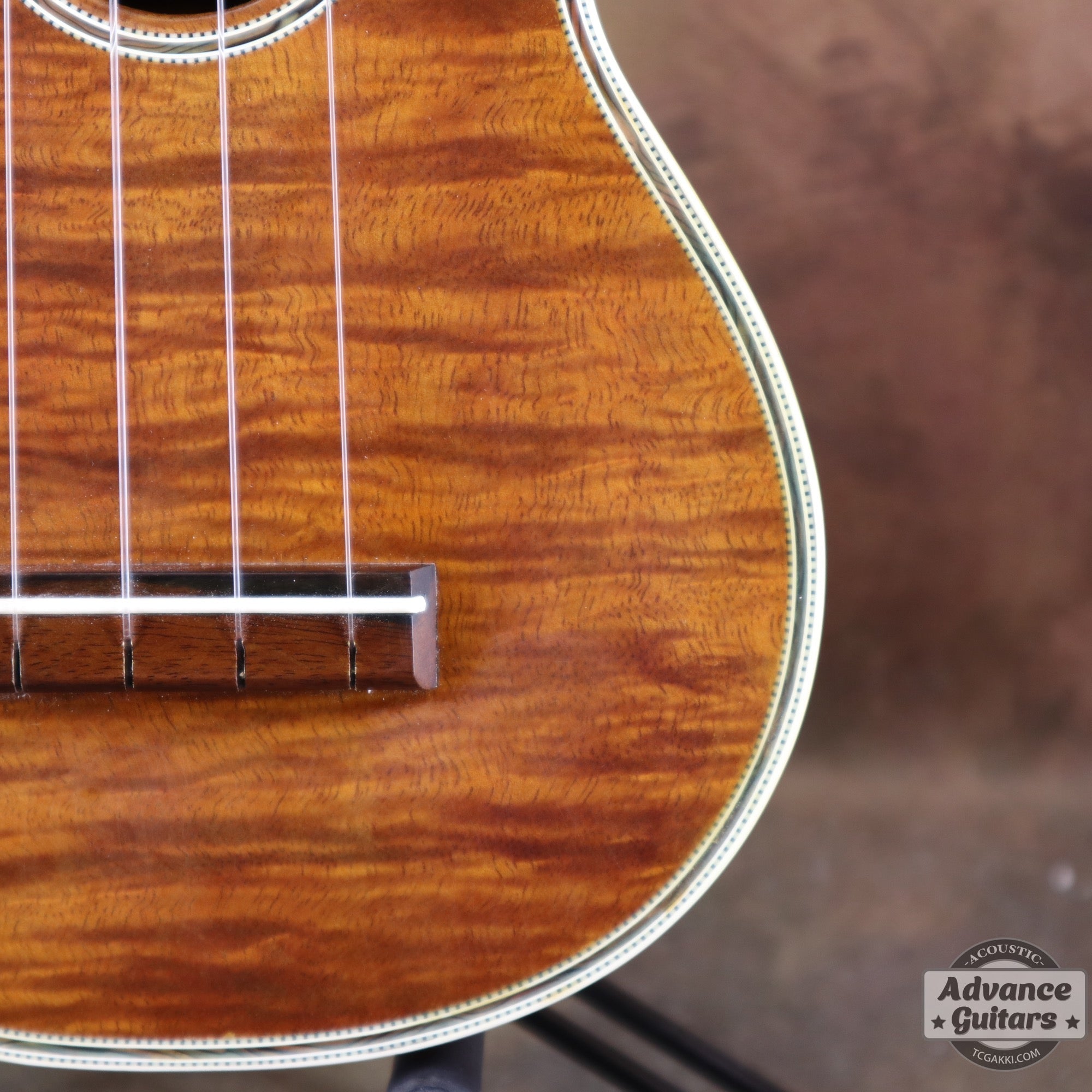 Soprano Koa - TC楽器 - TCGAKKI