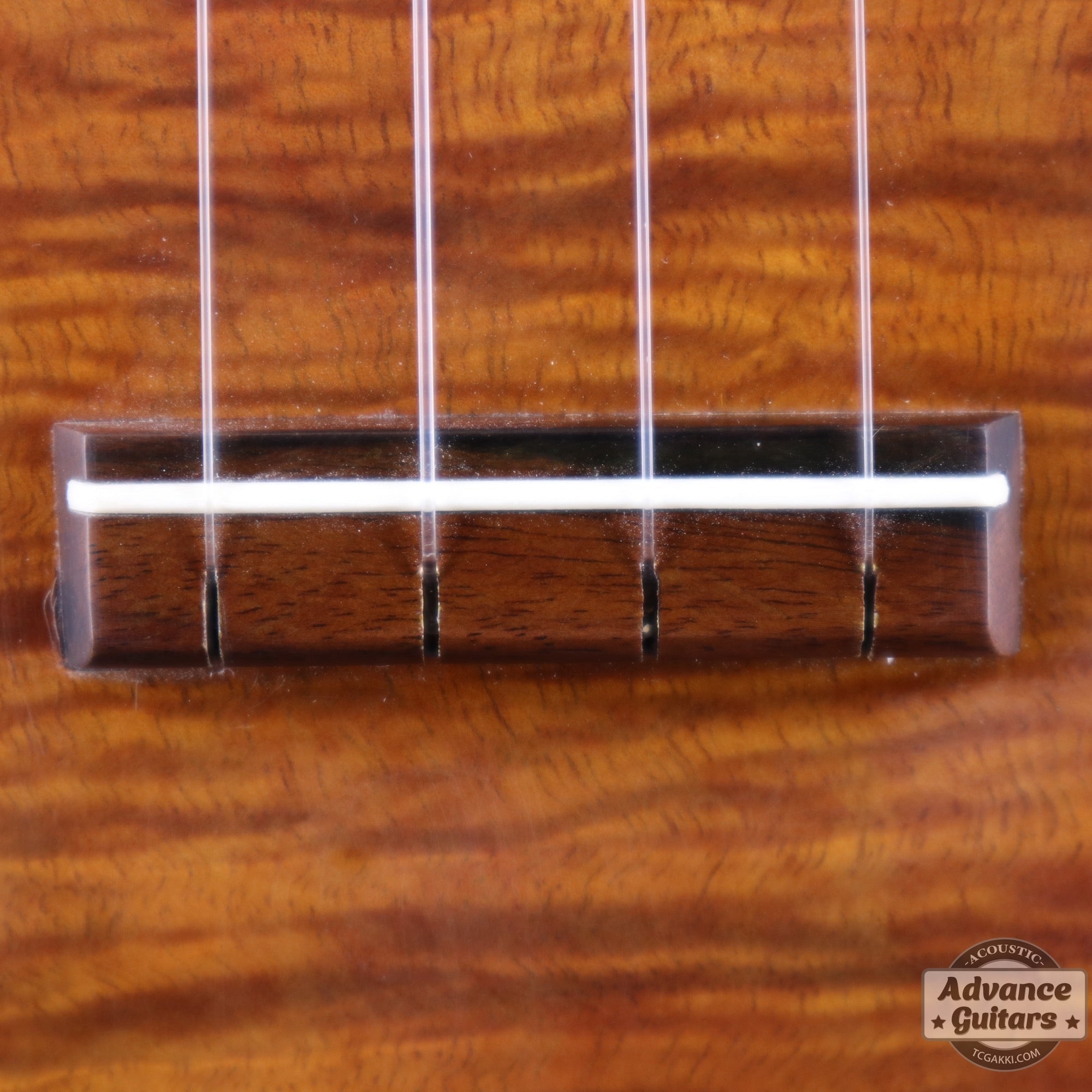 Soprano Koa - TC楽器 - TCGAKKI