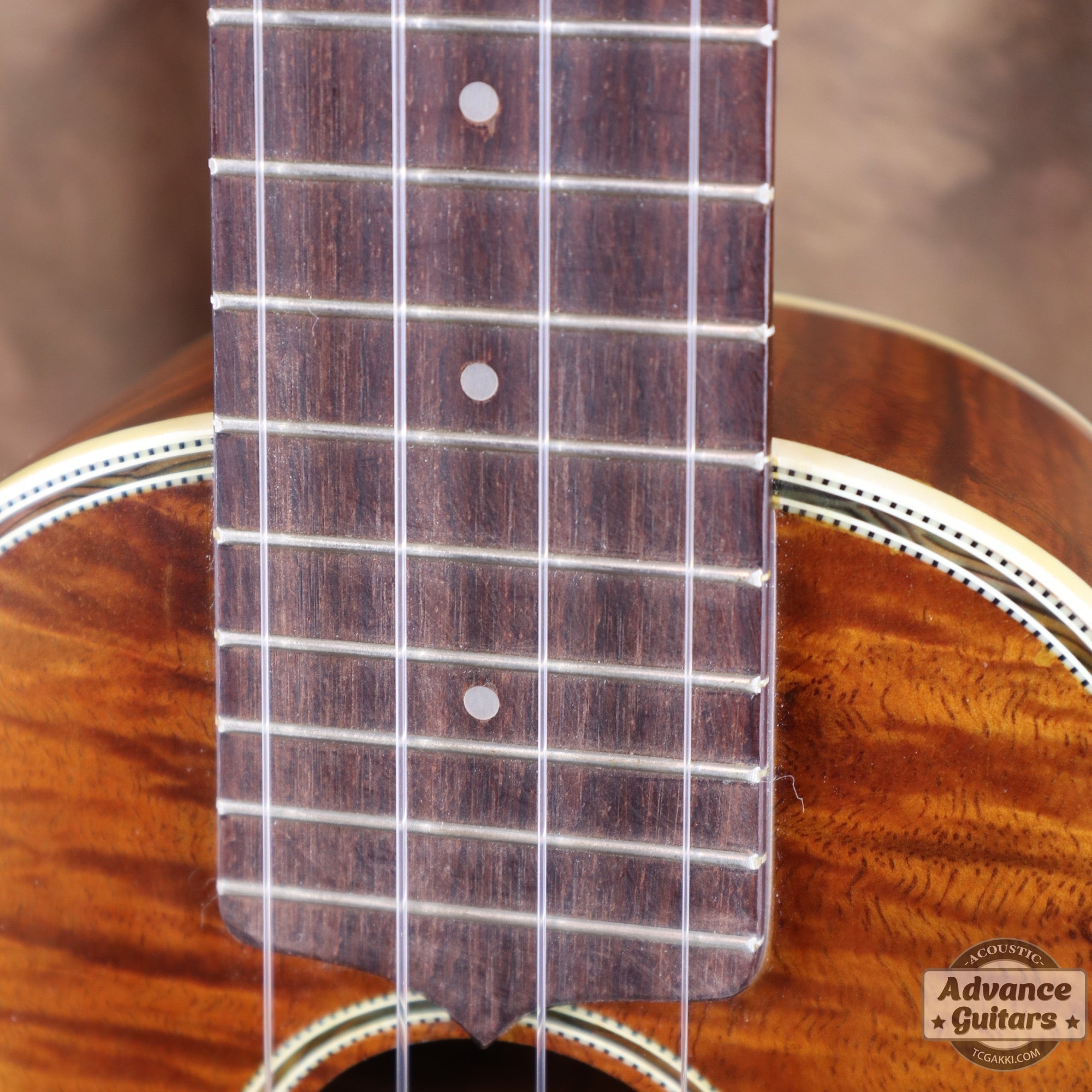 Soprano Koa - TC楽器 - TCGAKKI