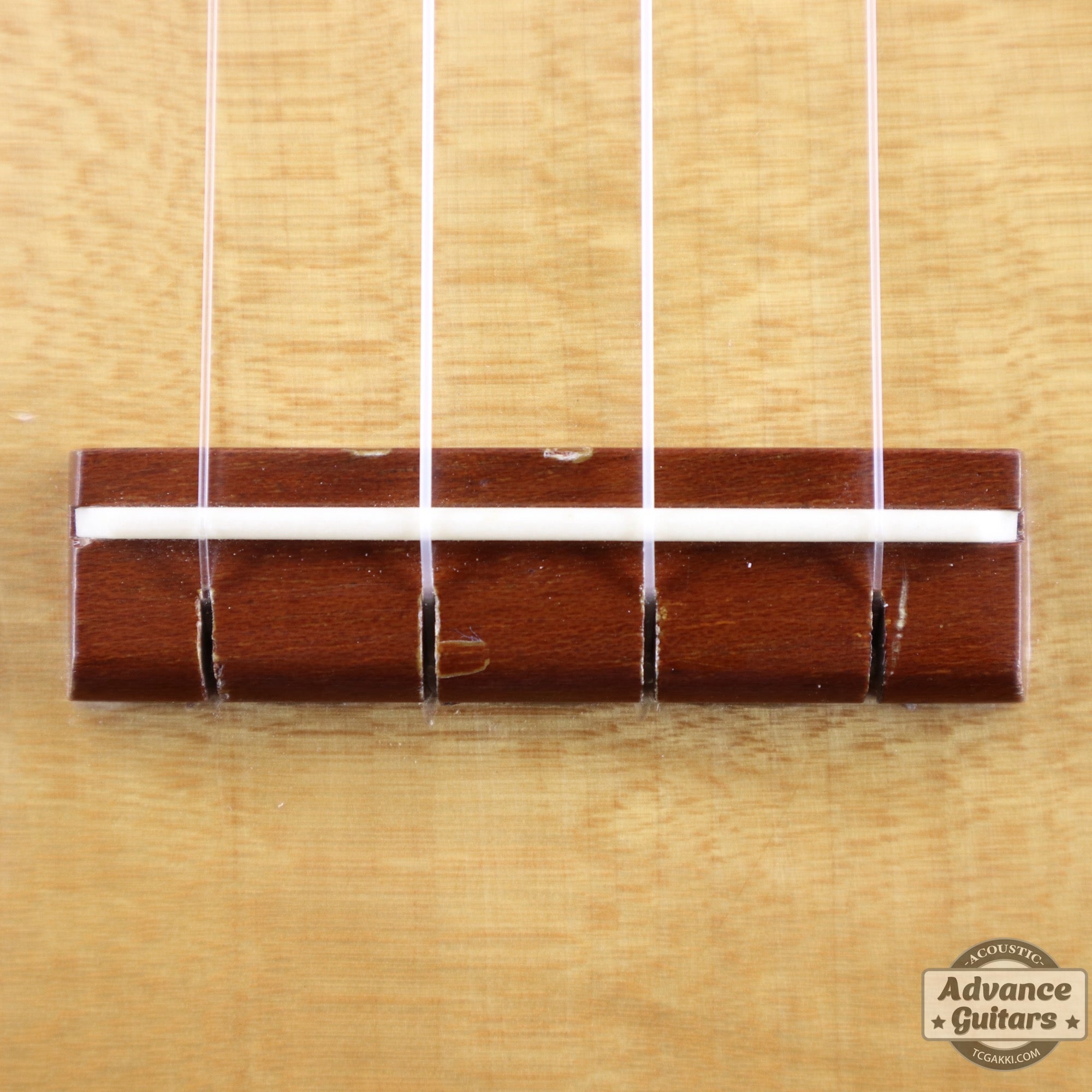 Soprano Ukulele - TC楽器 - TCGAKKI