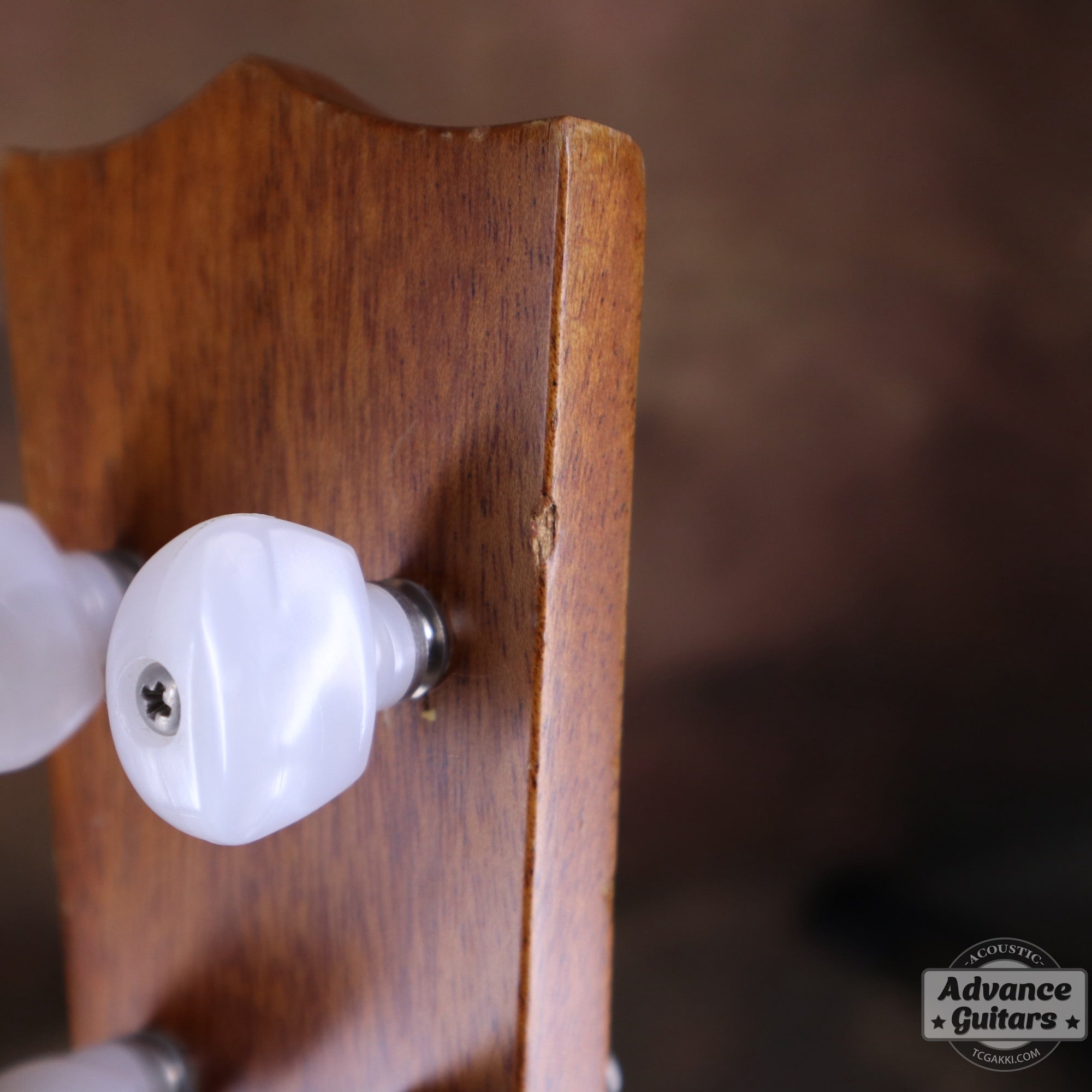 Soprano Ukulele - TC楽器 - TCGAKKI