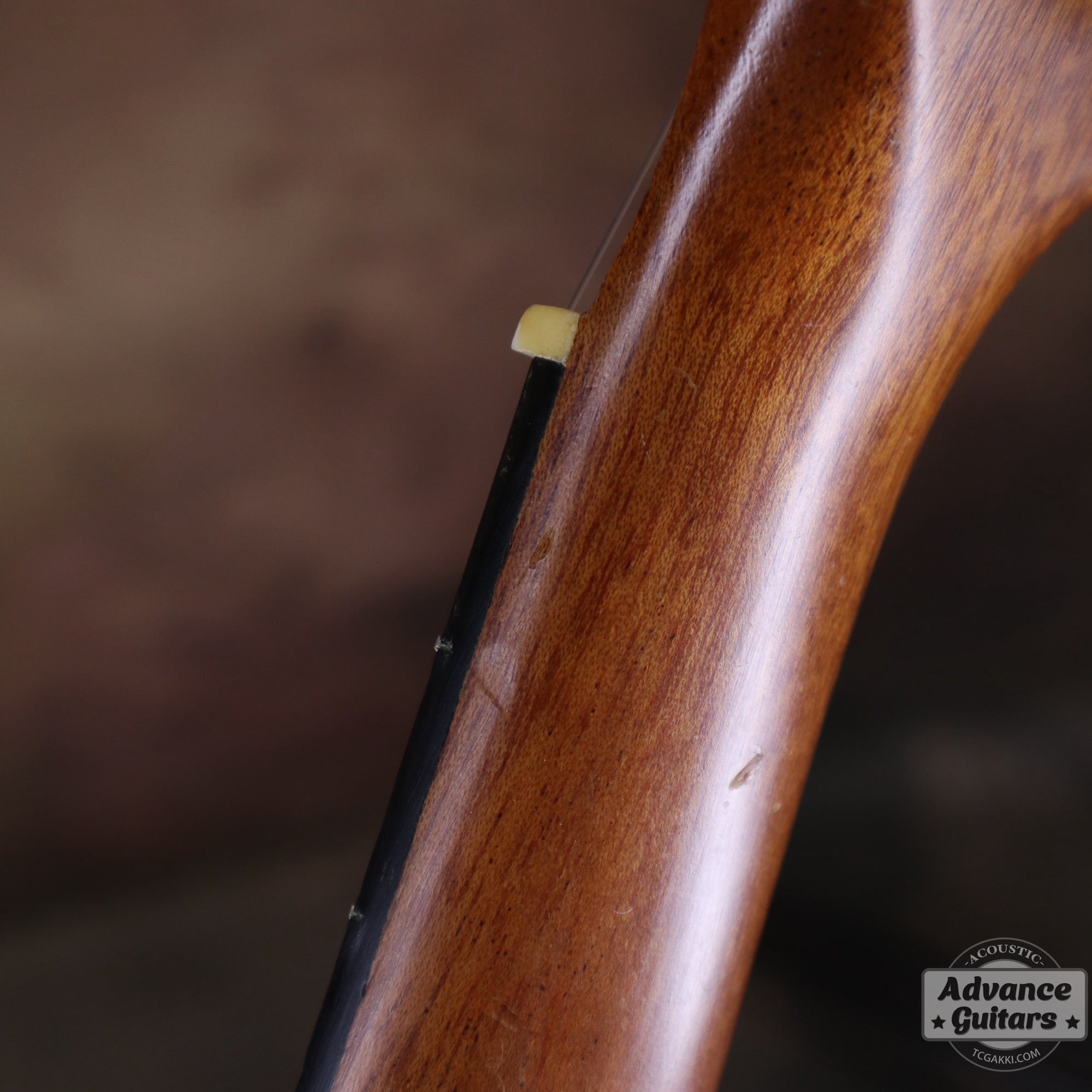 Soprano Ukulele - TC楽器 - TCGAKKI