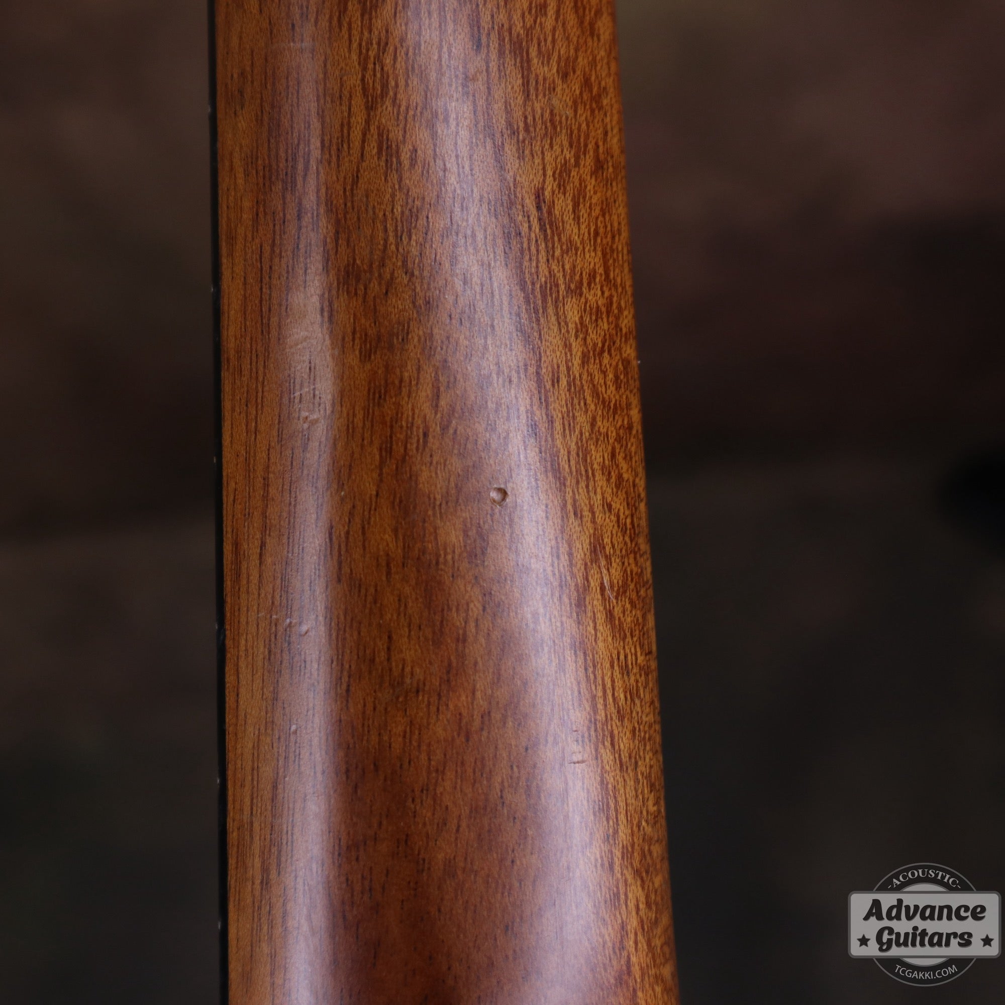 Soprano Ukulele - TC楽器 - TCGAKKI