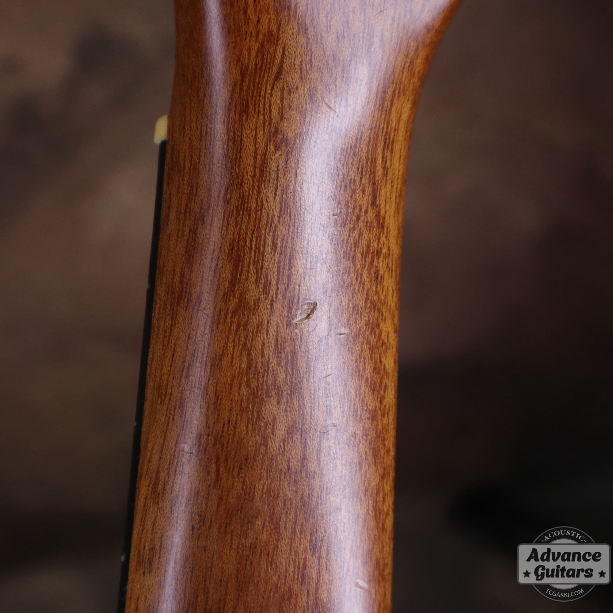 Soprano Ukulele - TC楽器 - TCGAKKI