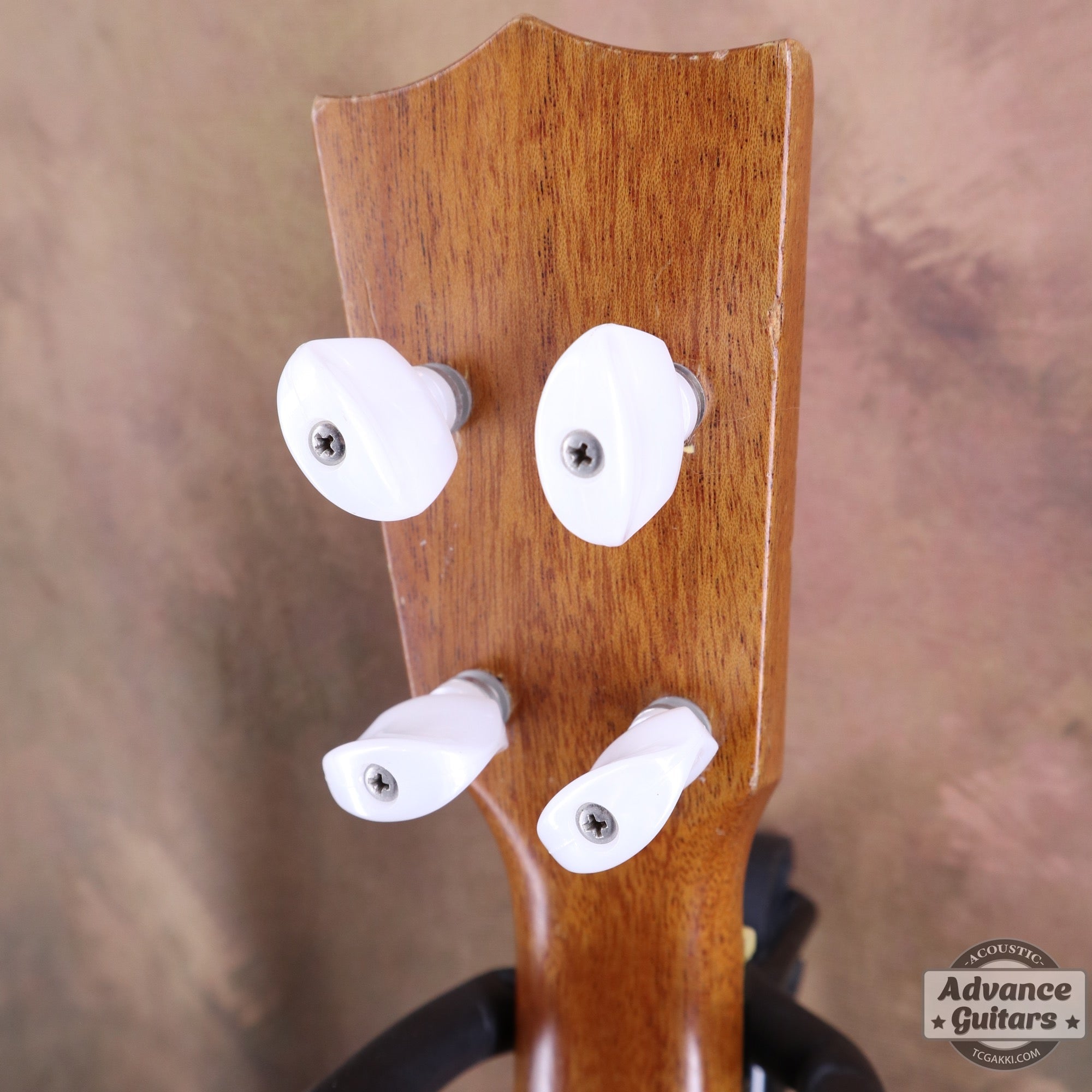 Soprano Ukulele - TC楽器 - TCGAKKI