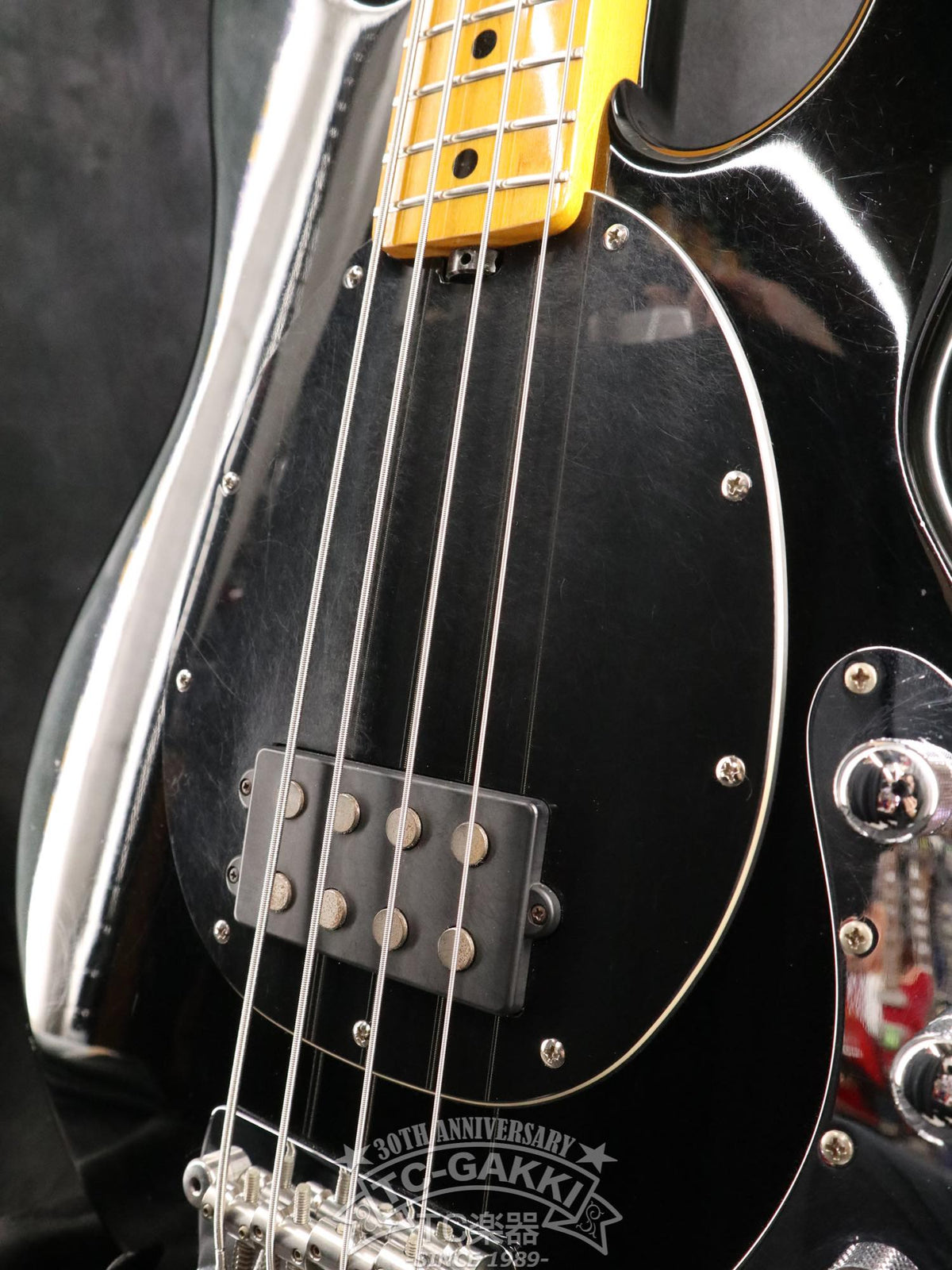 Sterling by MUSIC MAN Ray 34 CA - TC楽器 - TCGAKKI