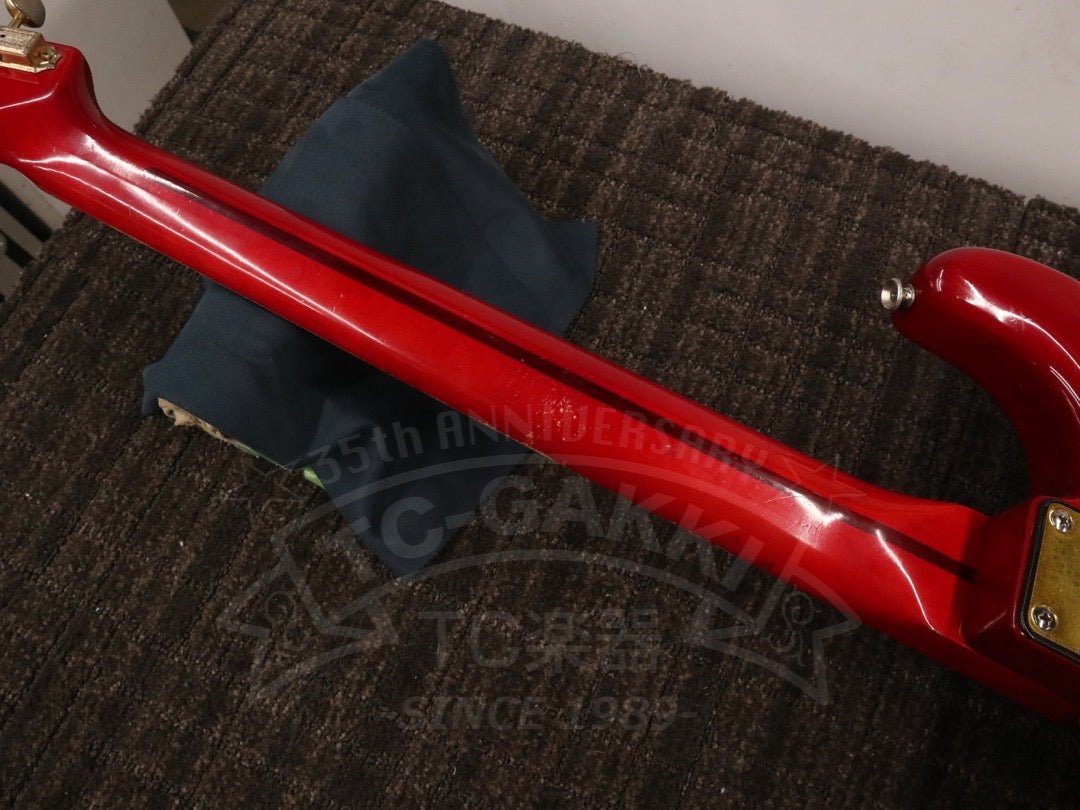 Steve Lukather ST - Type - TC楽器 - TCGAKKI