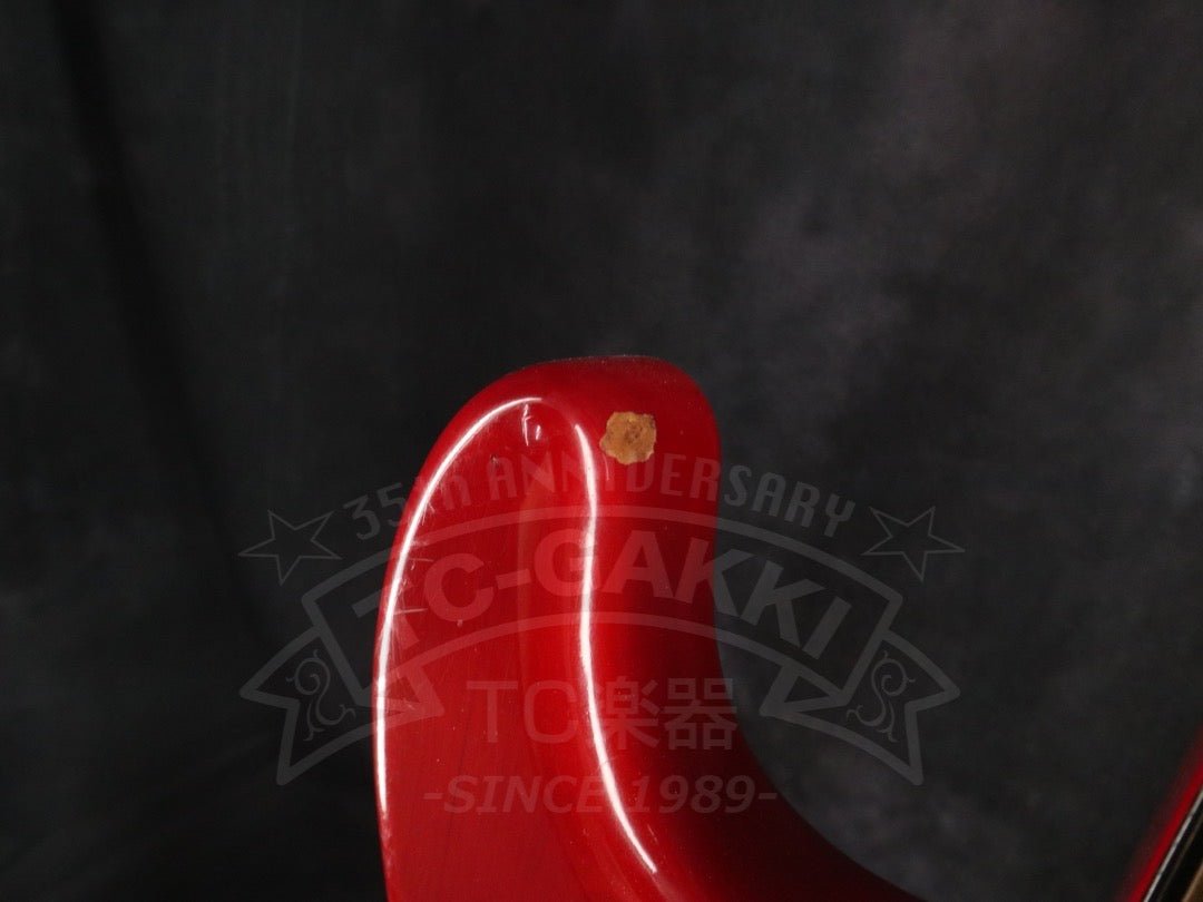 Steve Lukather ST - Type - TC楽器 - TCGAKKI