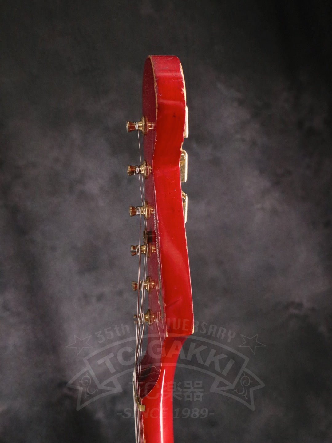 Steve Lukather ST - Type - TC楽器 - TCGAKKI