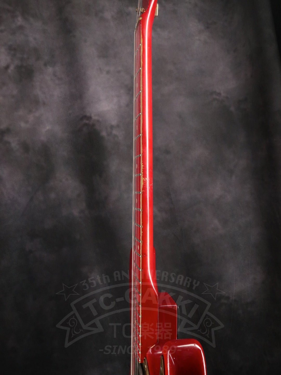 Steve Lukather ST - Type - TC楽器 - TCGAKKI