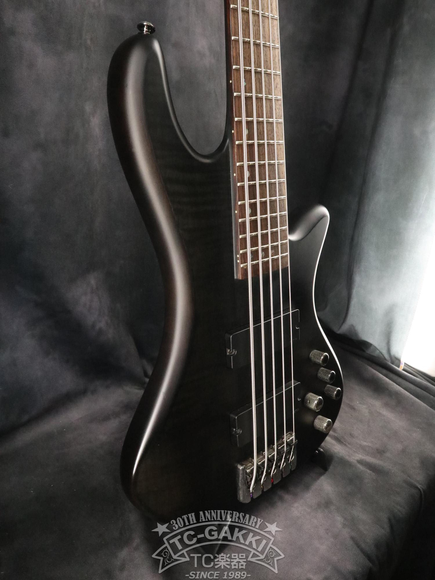 STILETTO STUDIO - 5 - TC楽器 - TCGAKKI