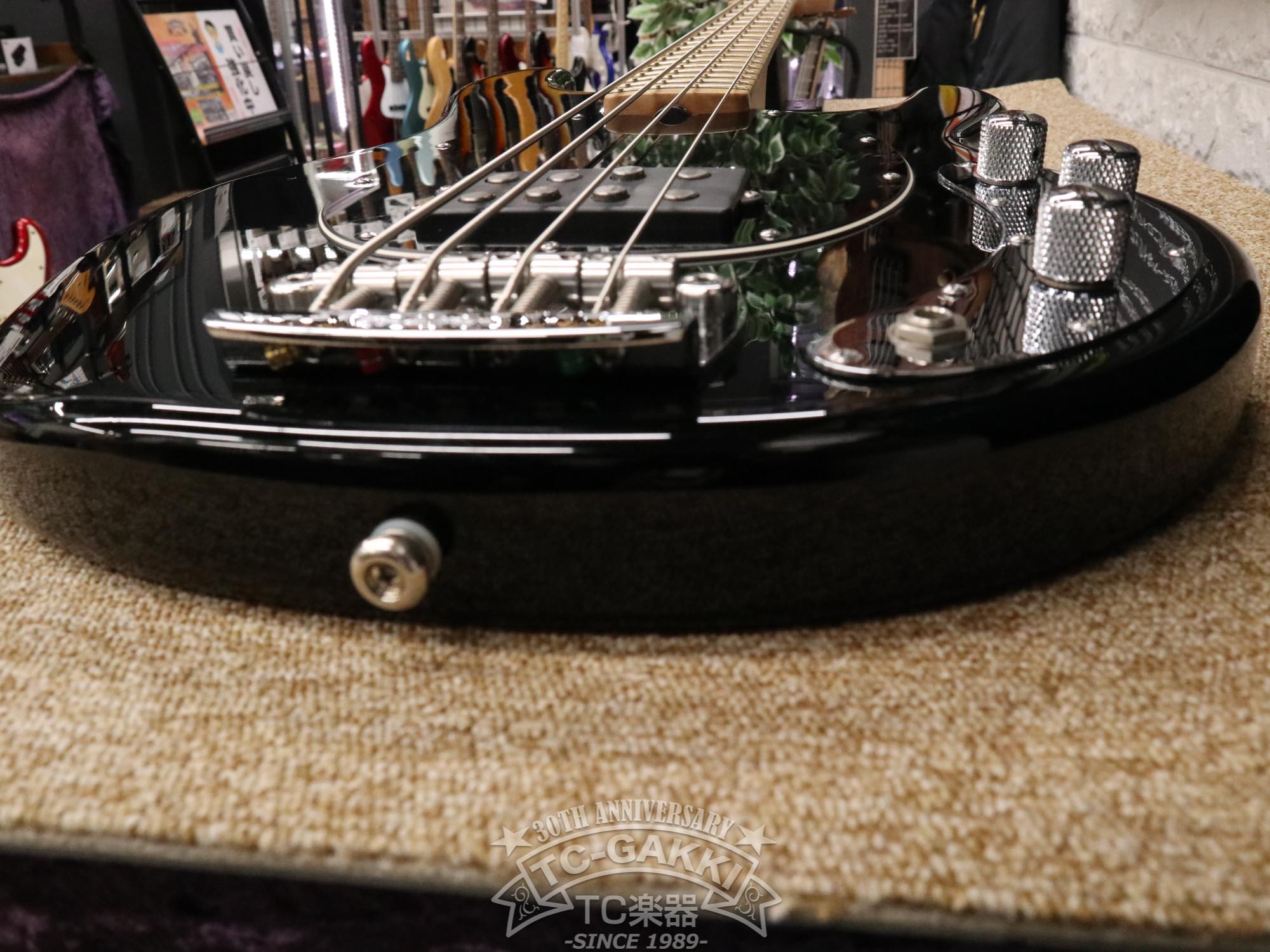 StingRay 2EQ - TC楽器 - TCGAKKI