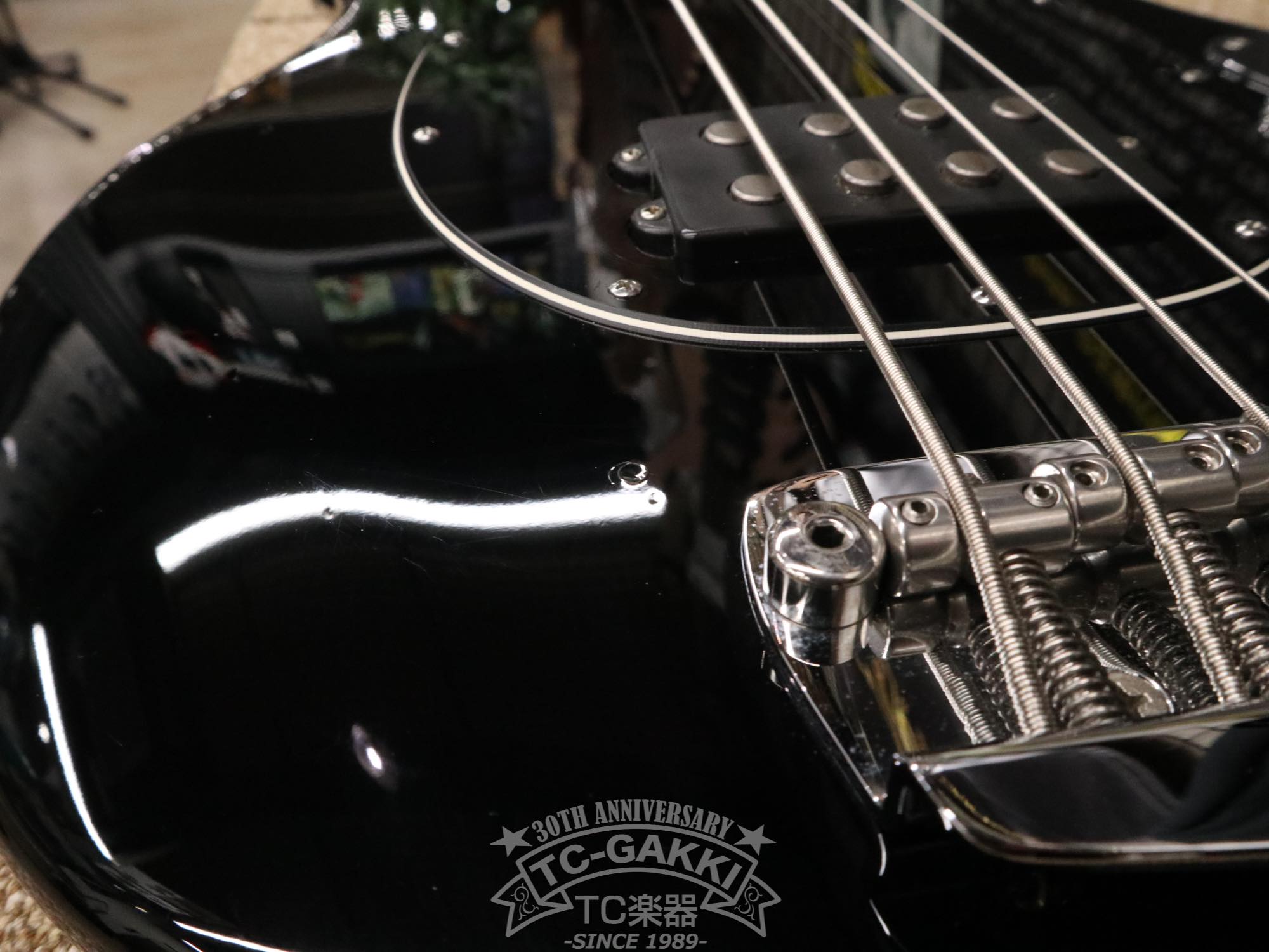 StingRay 2EQ - TC楽器 - TCGAKKI