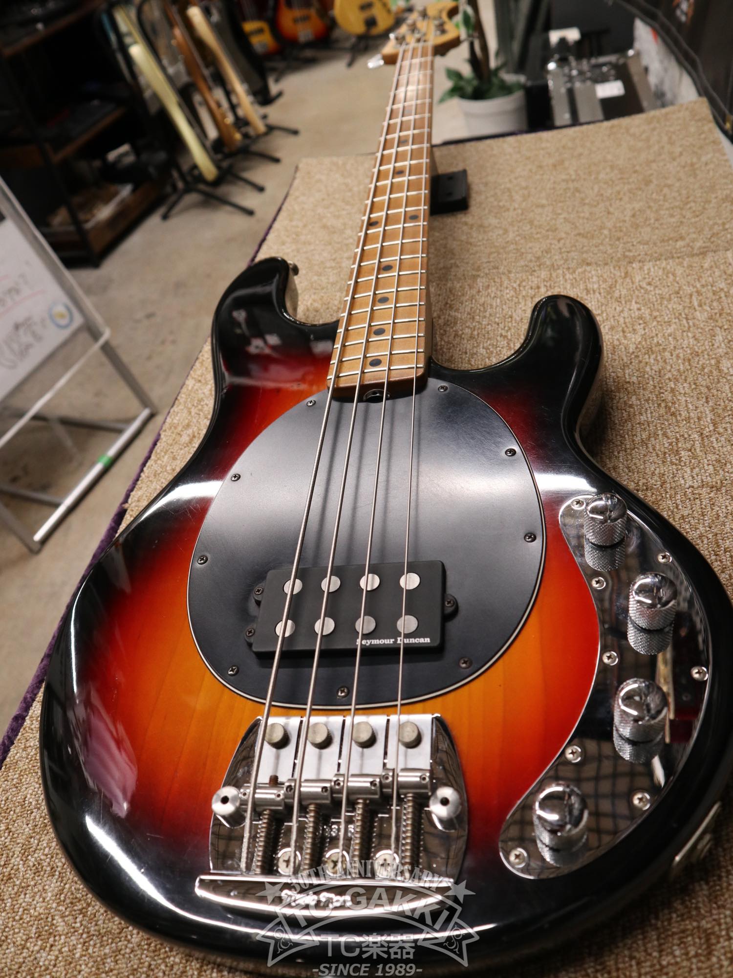 StingRay 4 Mod. - TC楽器 - TCGAKKI
