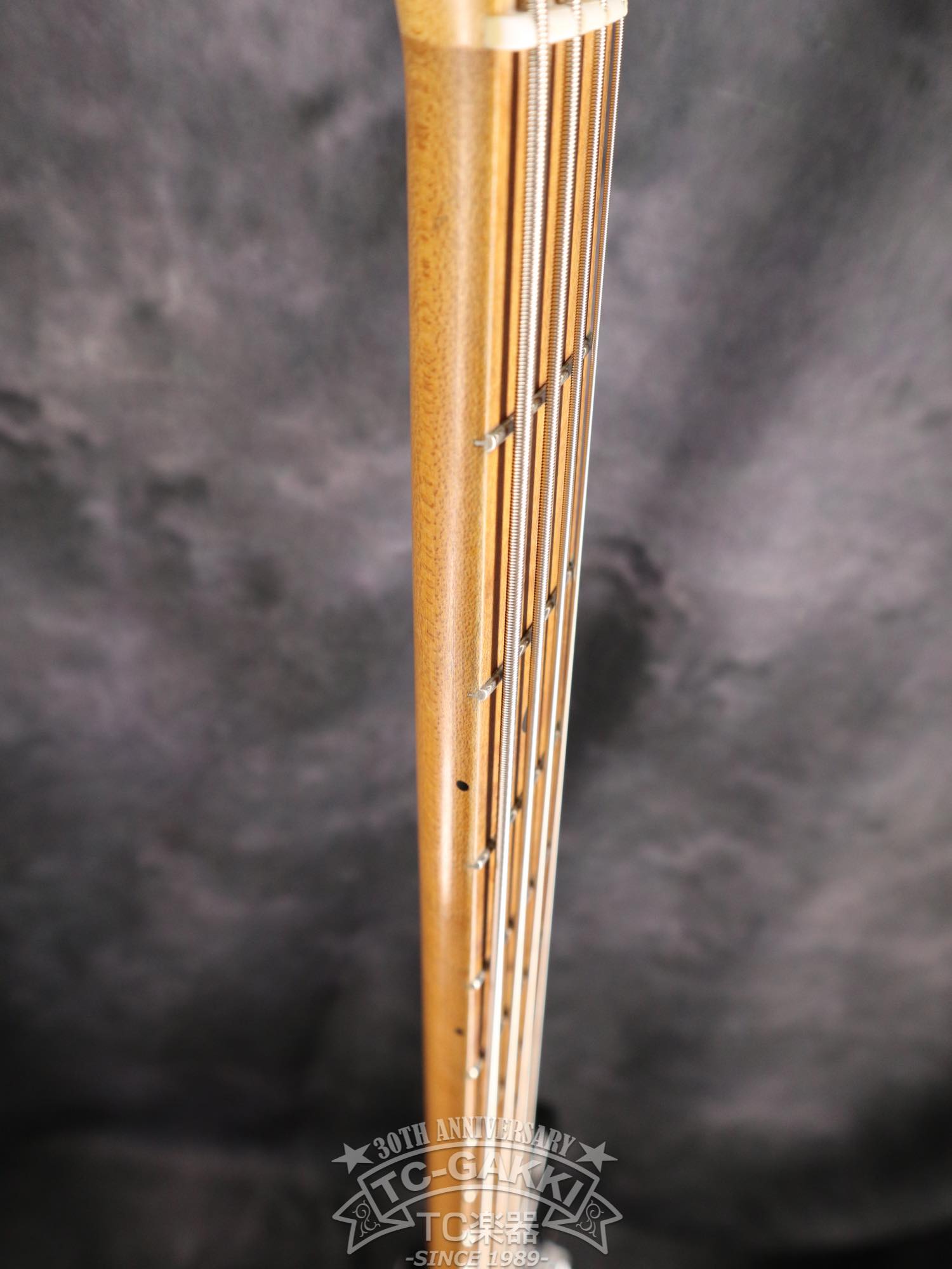 StingRay 4 Mod. - TC楽器 - TCGAKKI