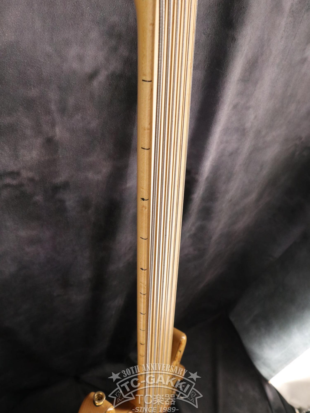 STR 2007 LS659 - TC楽器 - TCGAKKI