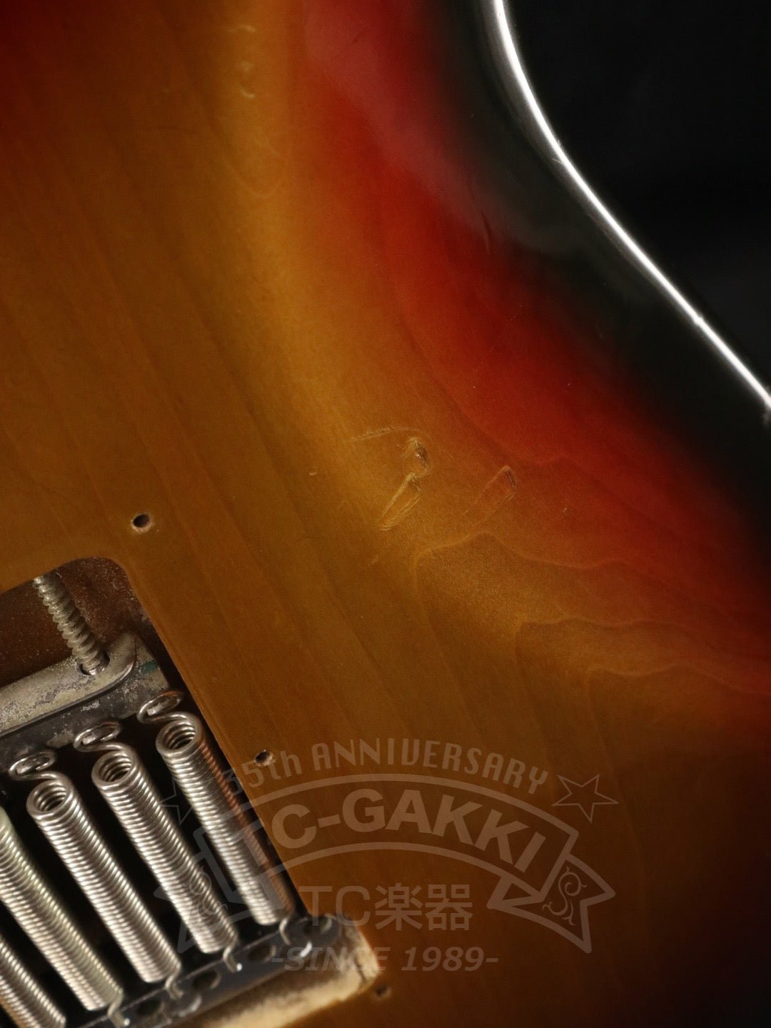 Stratocaster - TC楽器 - TCGAKKI