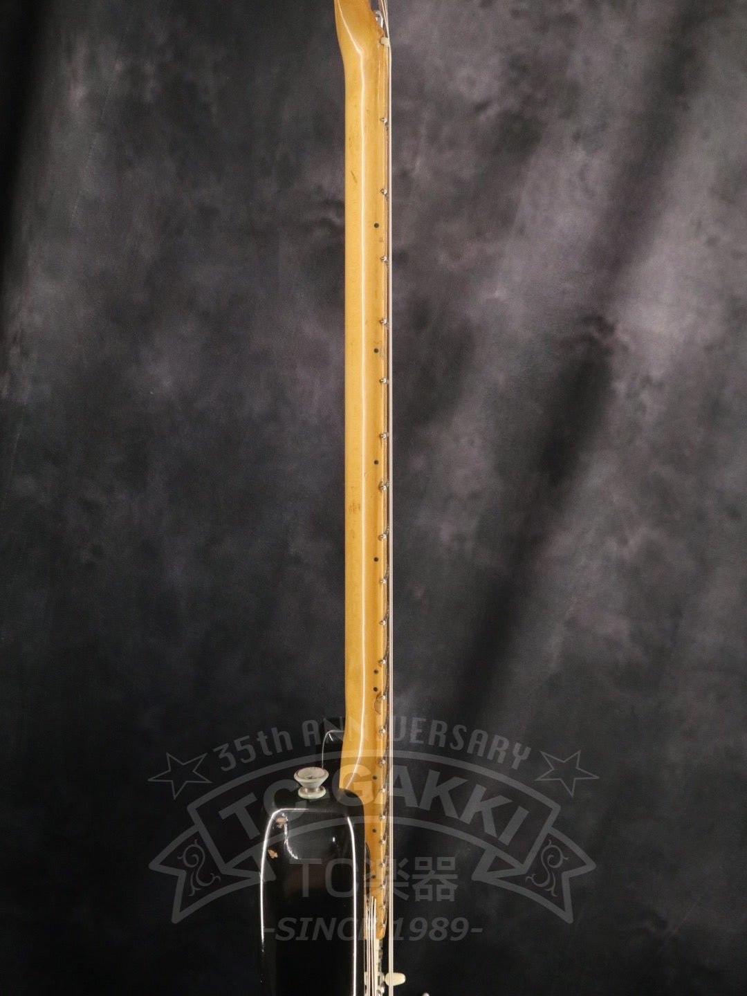 Stratocaster - TC楽器 - TCGAKKI