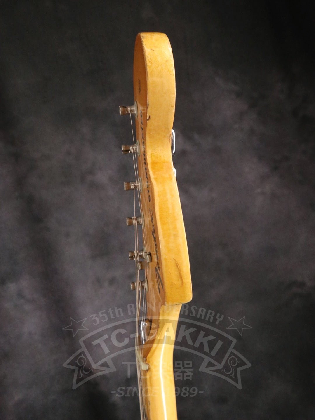 Stratocaster - TC楽器 - TCGAKKI