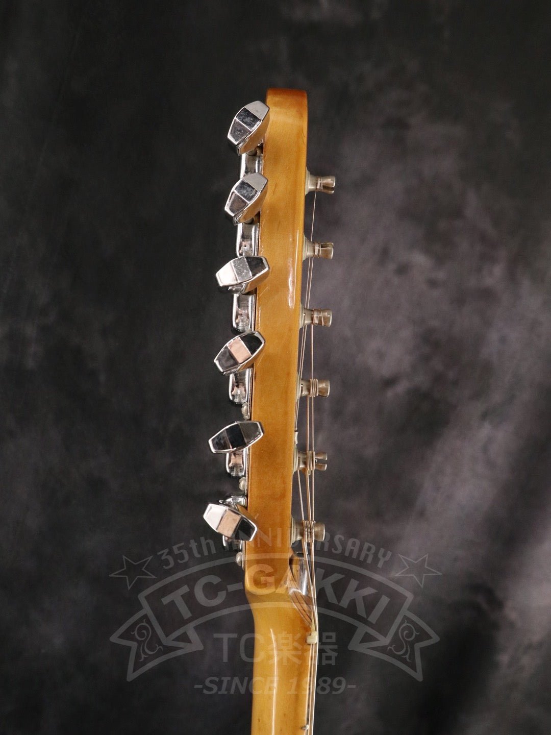 Stratocaster - TC楽器 - TCGAKKI