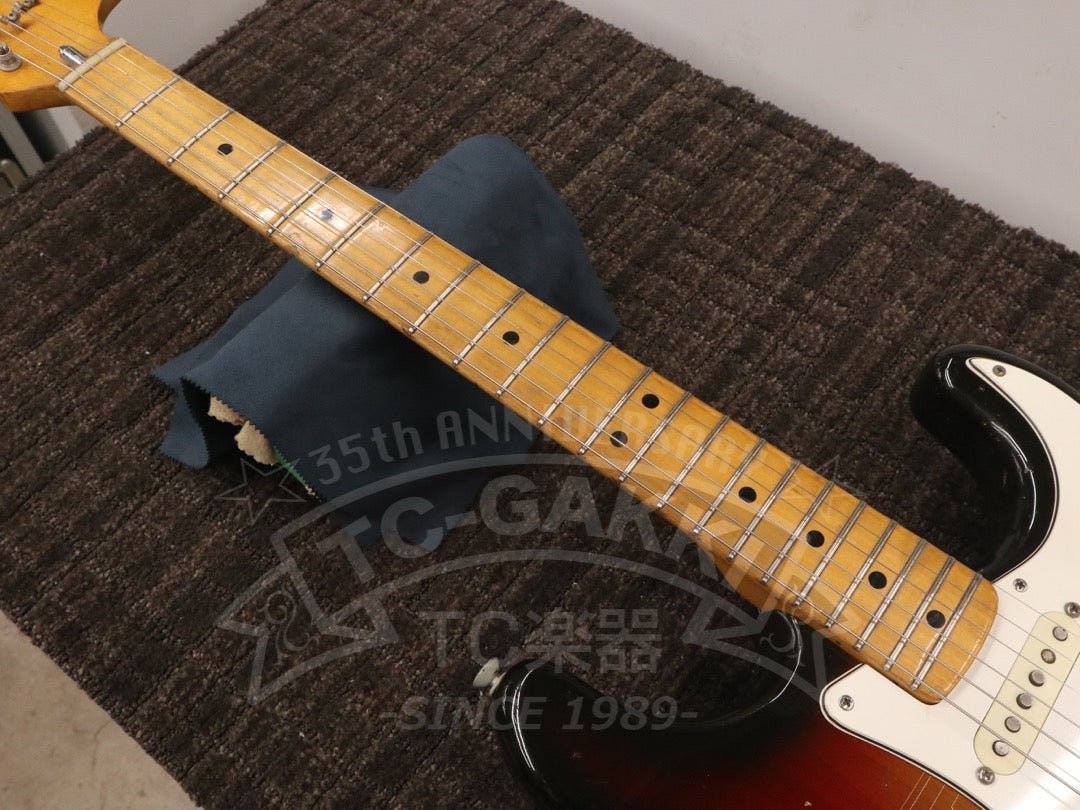 Stratocaster - TC楽器 - TCGAKKI