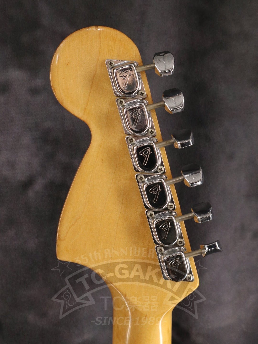 Stratocaster - TC楽器 - TCGAKKI