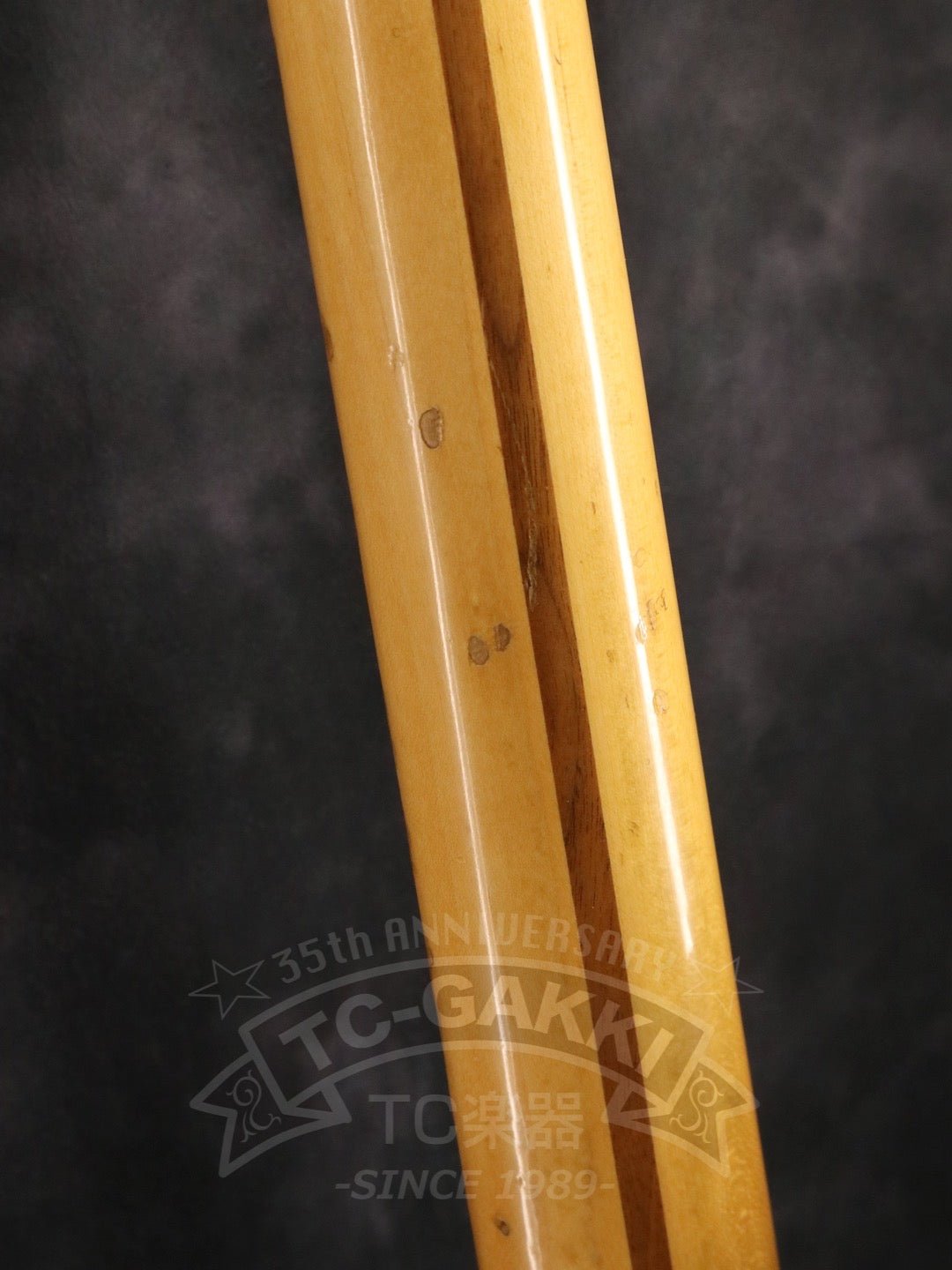 Stratocaster - TC楽器 - TCGAKKI