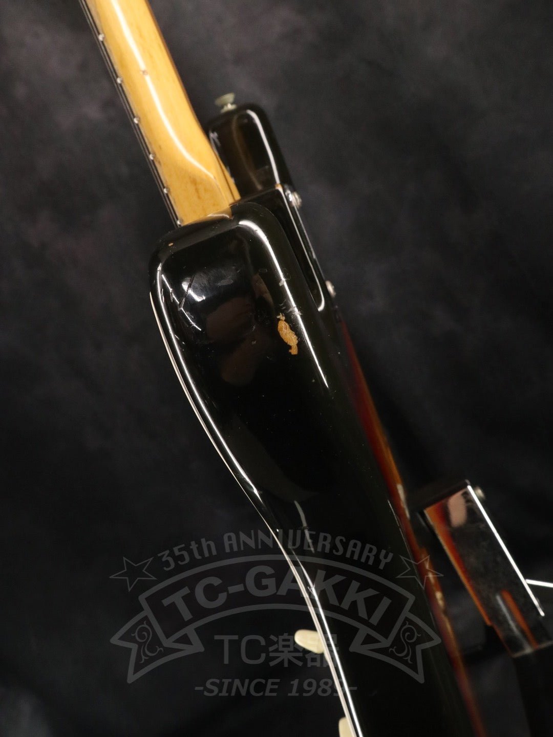 Stratocaster - TC楽器 - TCGAKKI