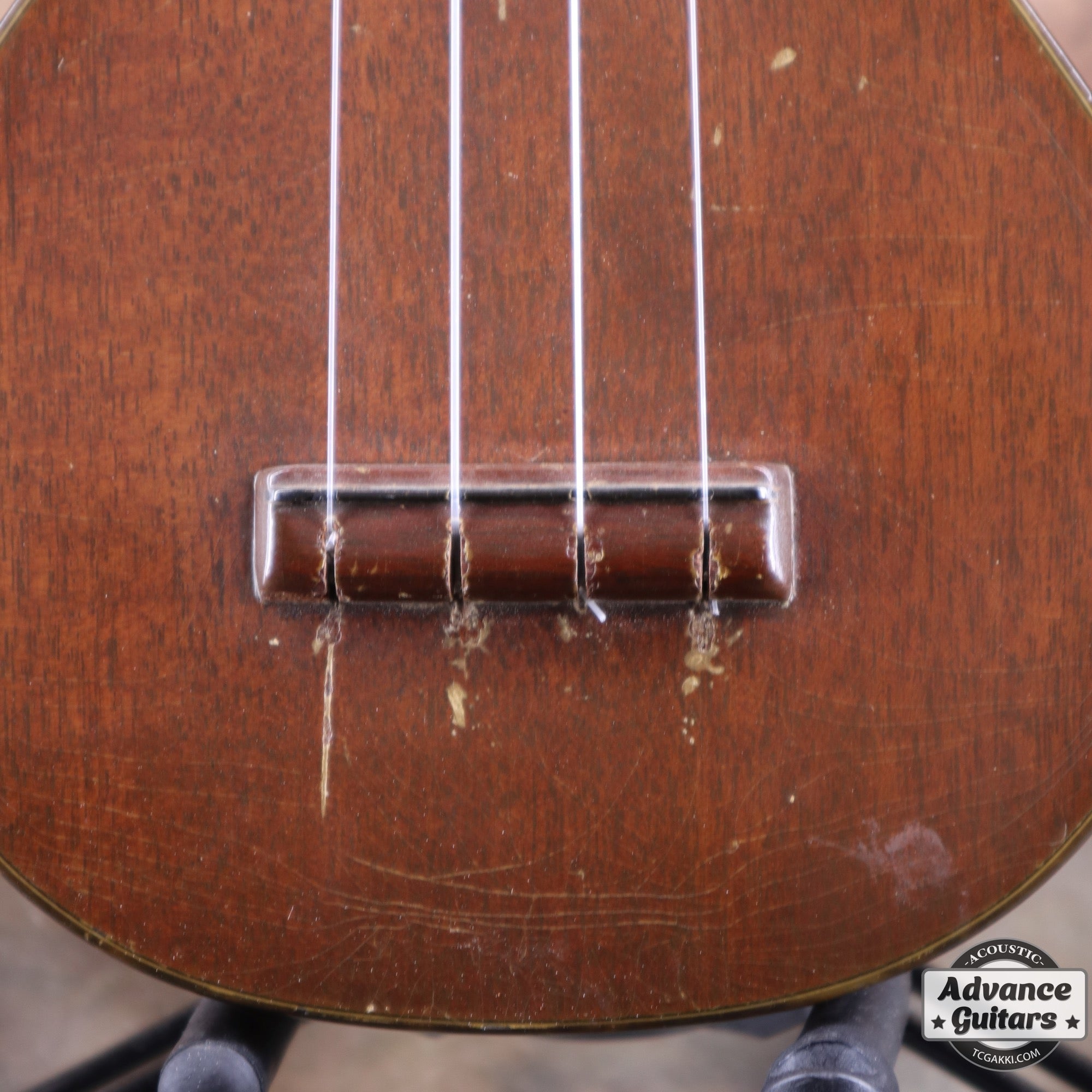 Style - 1 - TC楽器 - TCGAKKI