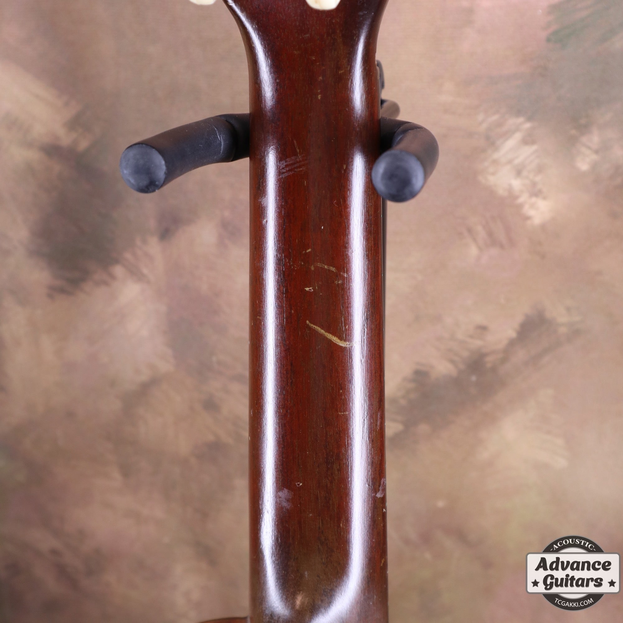 Style - 1 - TC楽器 - TCGAKKI