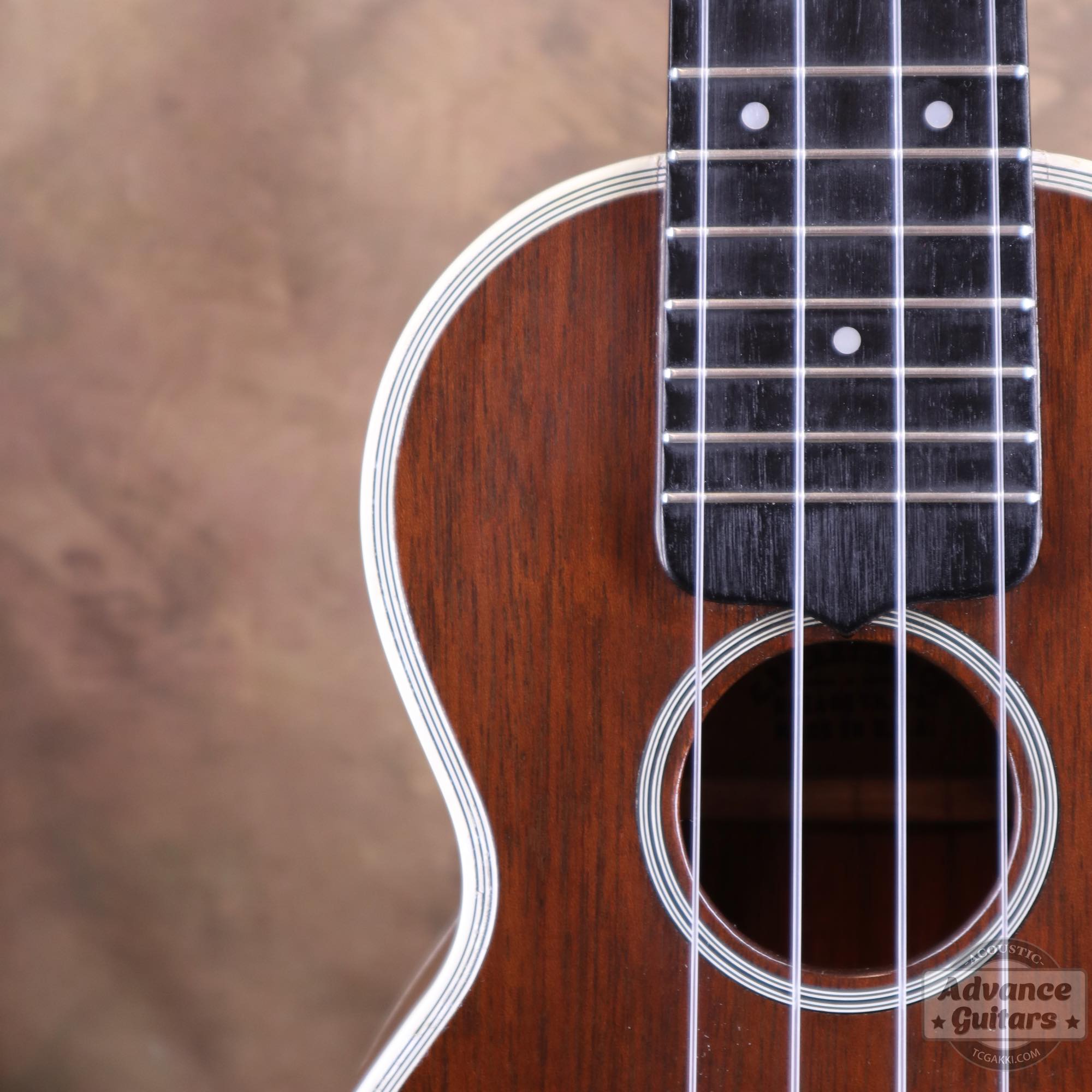 Style - 3M - TC楽器 - TCGAKKI