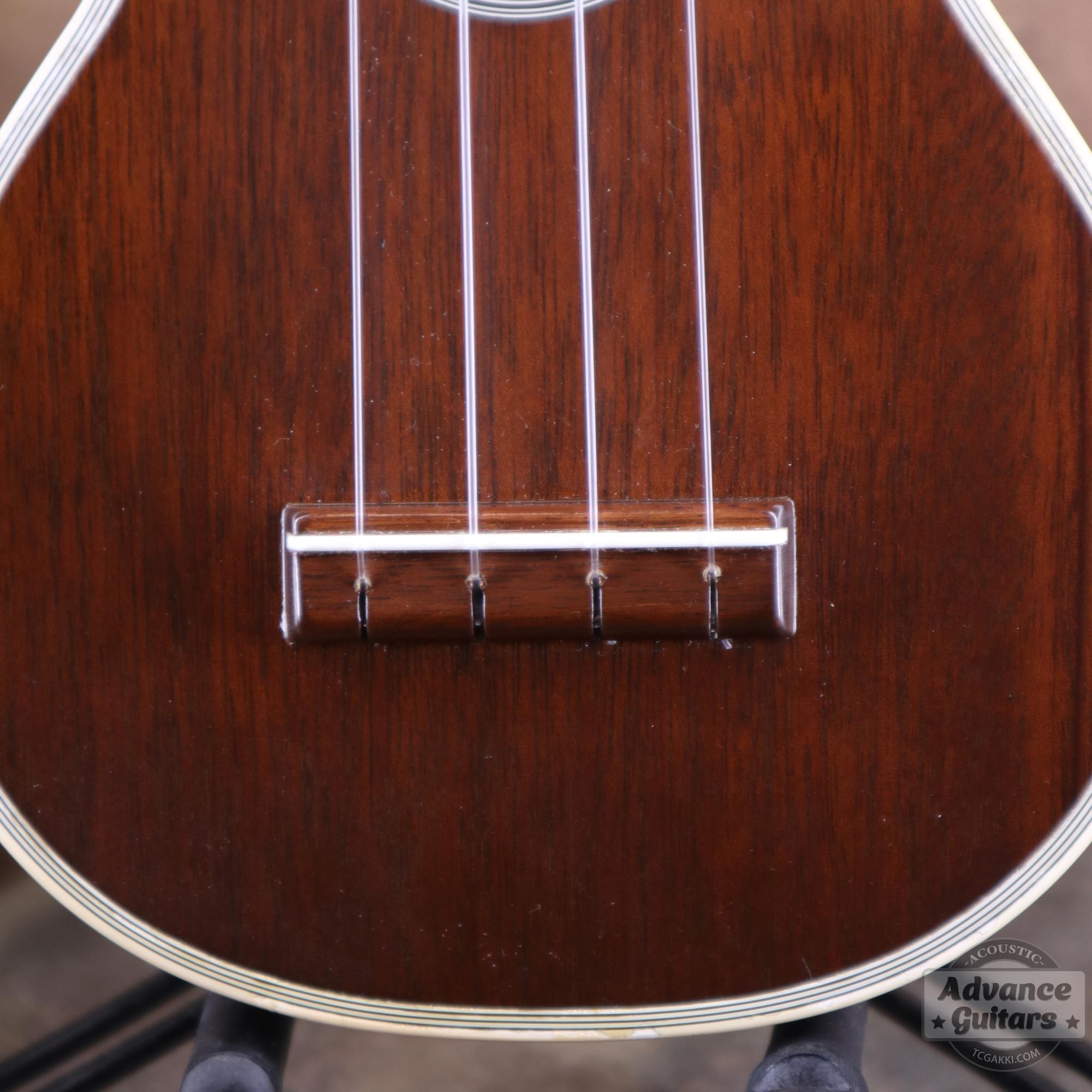 Style - 3M - TC楽器 - TCGAKKI